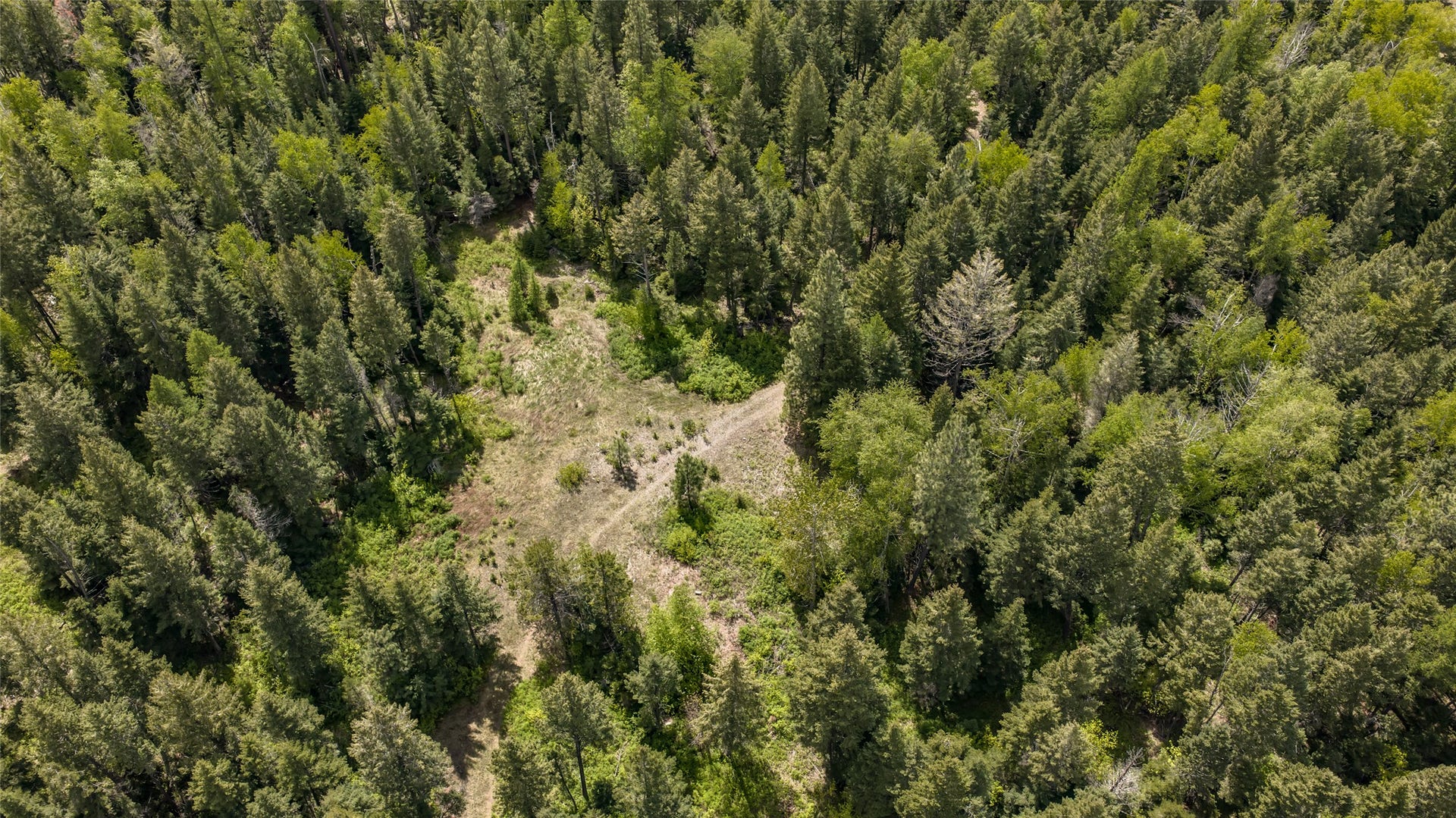 Nhn Red Hawk Drive, Bigfork, MT 59911 Nhn Red Hawk Drive, Bigfork, MT 59911