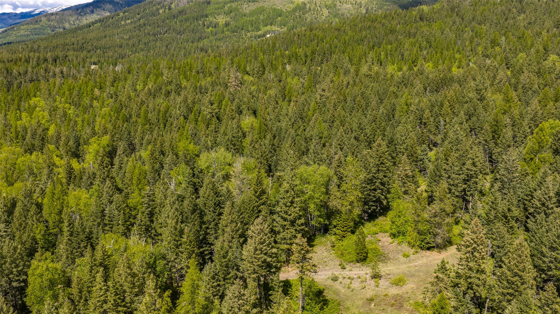 Nhn Red Hawk Drive, Bigfork, MT 59911 Nhn Red Hawk Drive, Bigfork, MT 59911