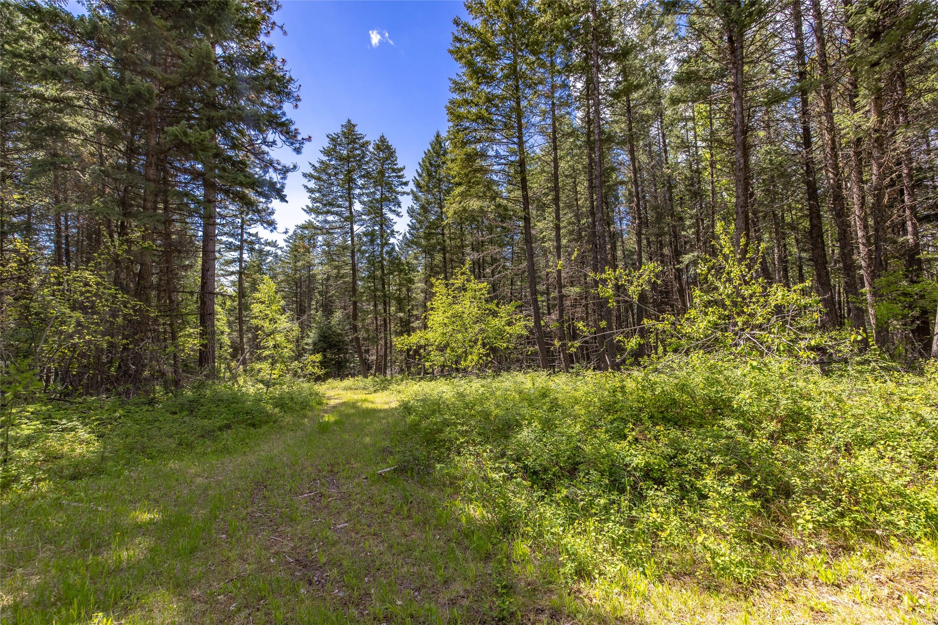 Nhn Red Hawk Drive, Bigfork, MT 59911 Nhn Red Hawk Drive, Bigfork, MT 59911