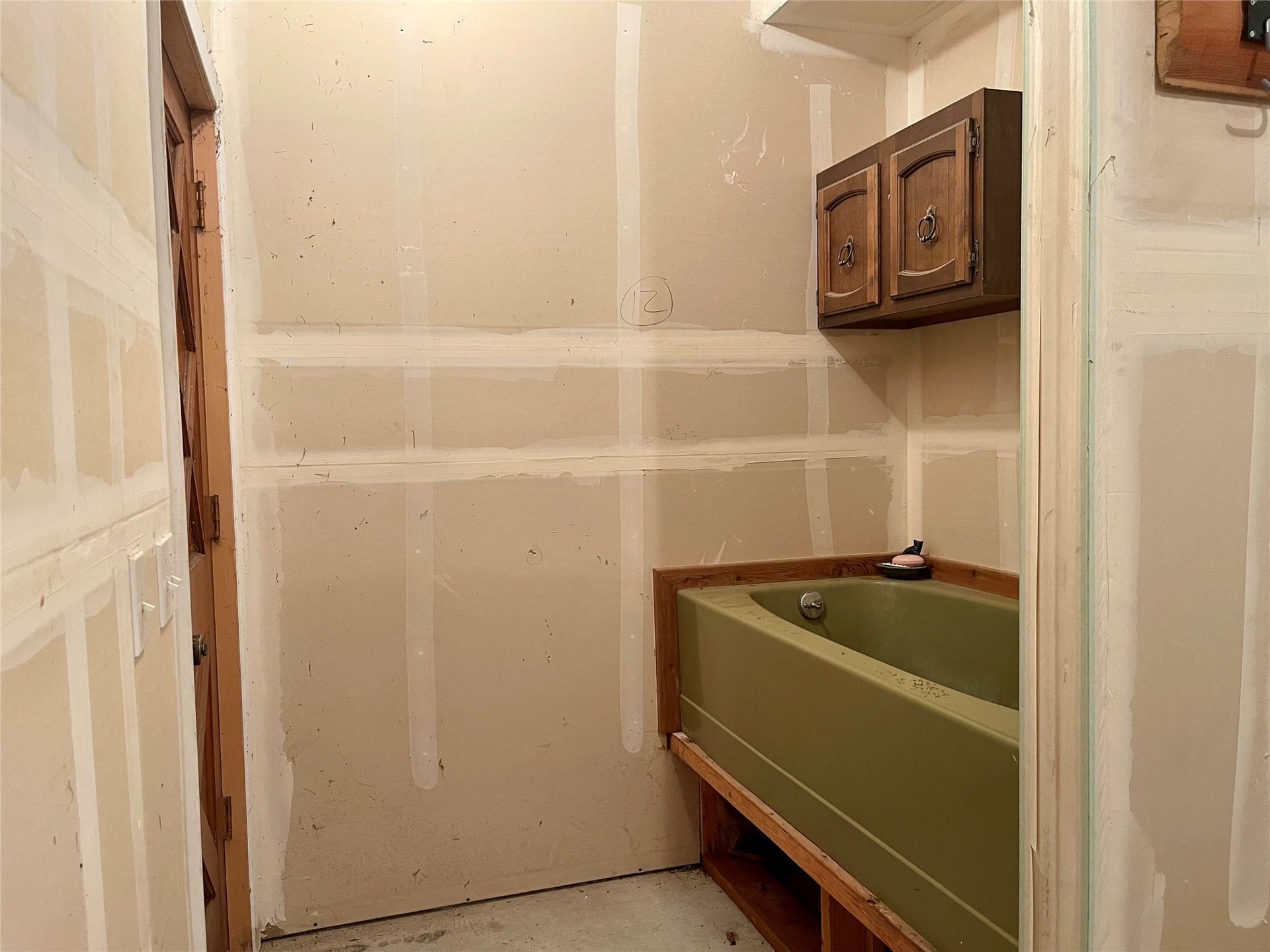 Dog Grooming Station with elevated Tub