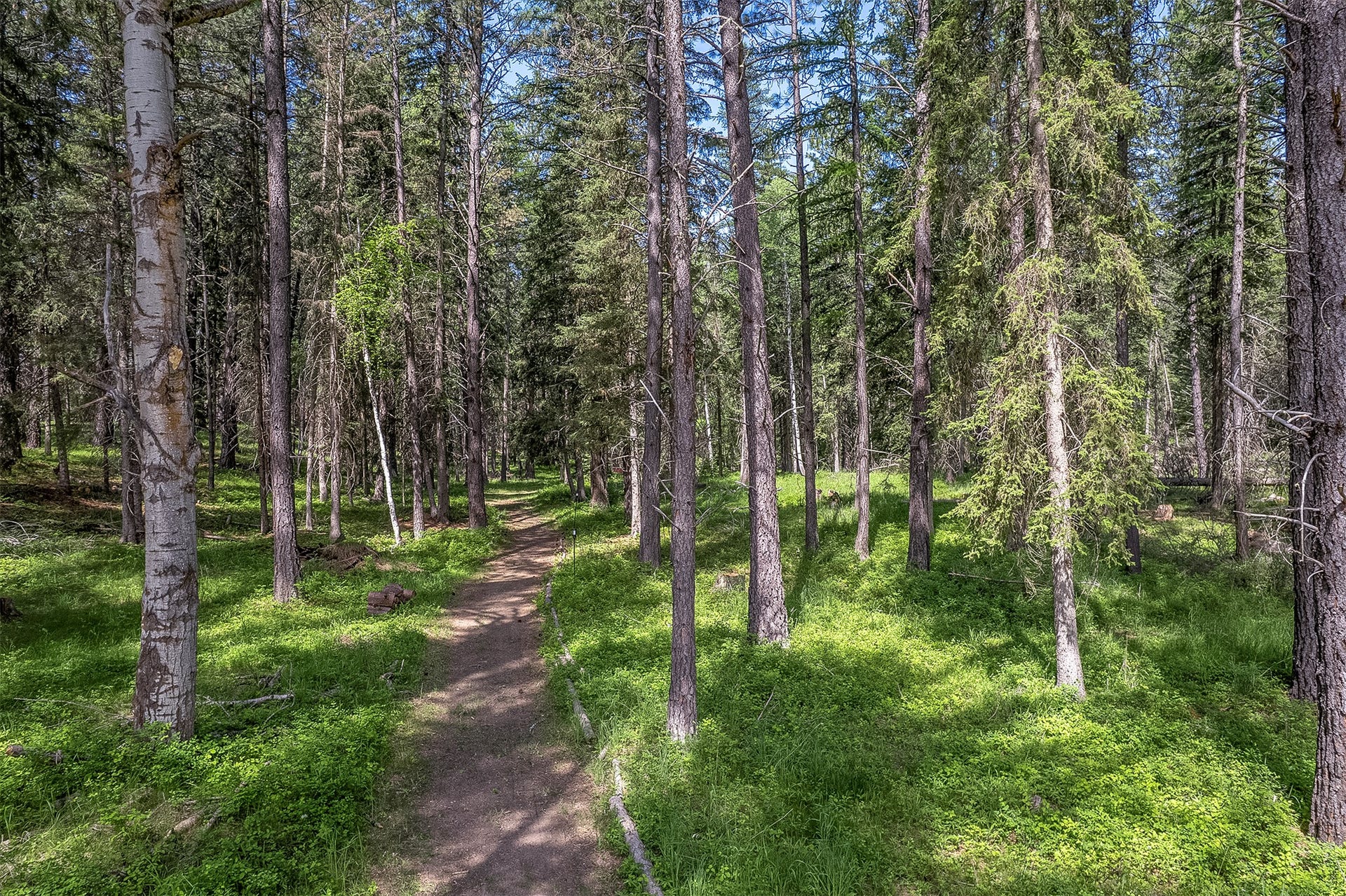 777 Mt Highway 83, Bigfork, MT 59911 777 Mt Highway 83, Bigfork, MT 59911