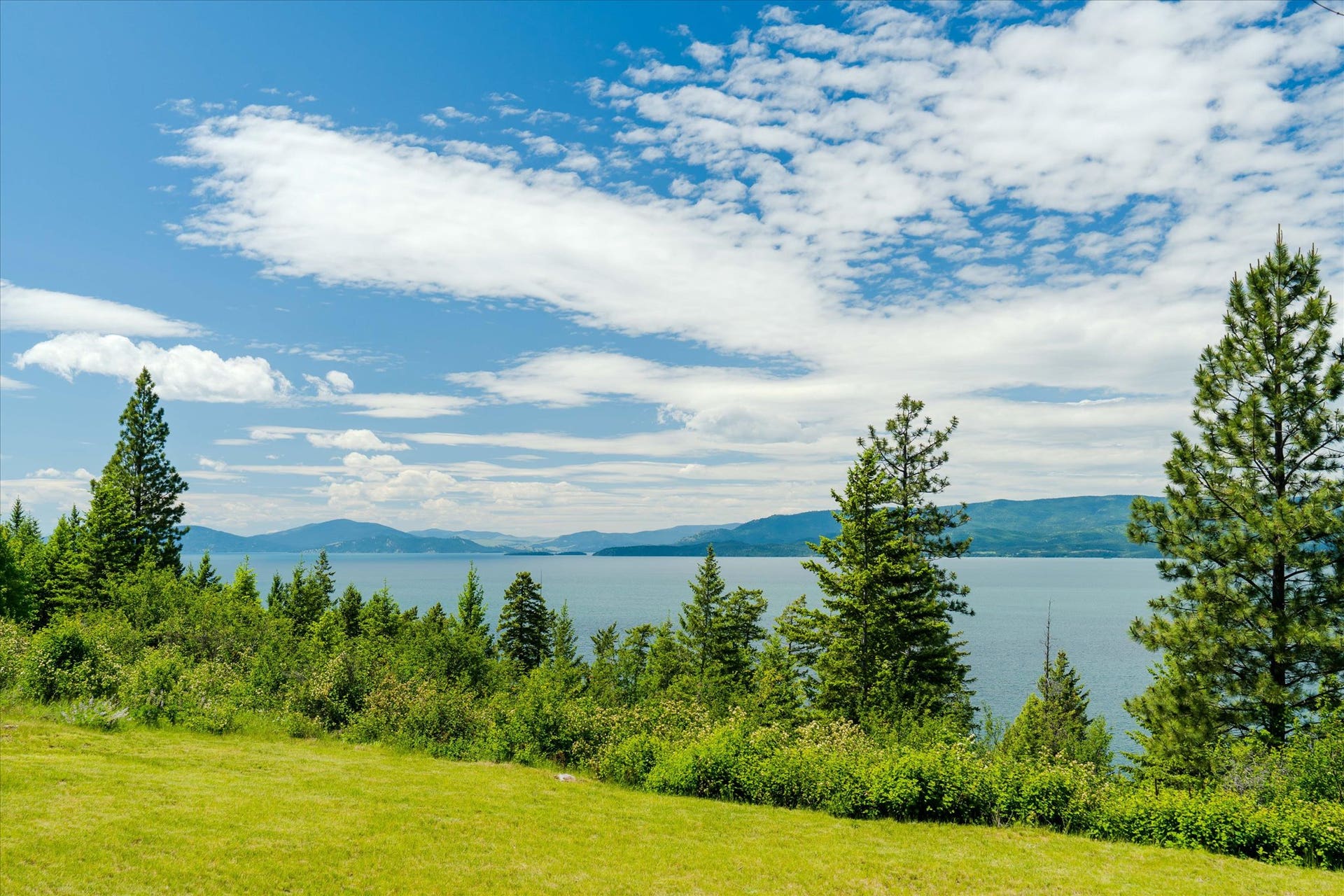 Flathead Lake Views