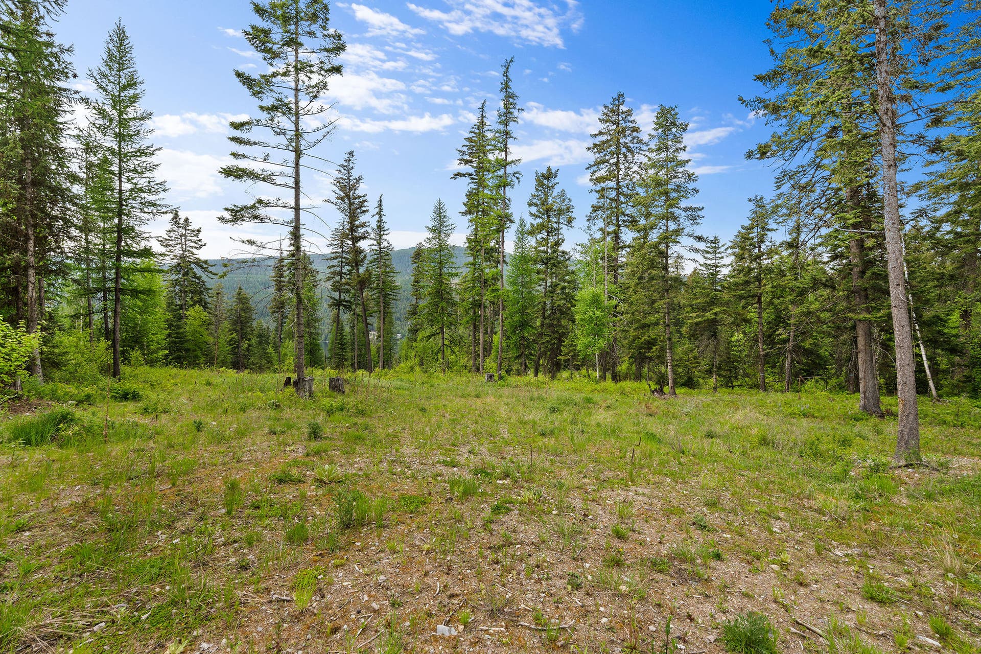 14051 Big Rock Way, Bigfork, MT 59911 6.78 acre lot
