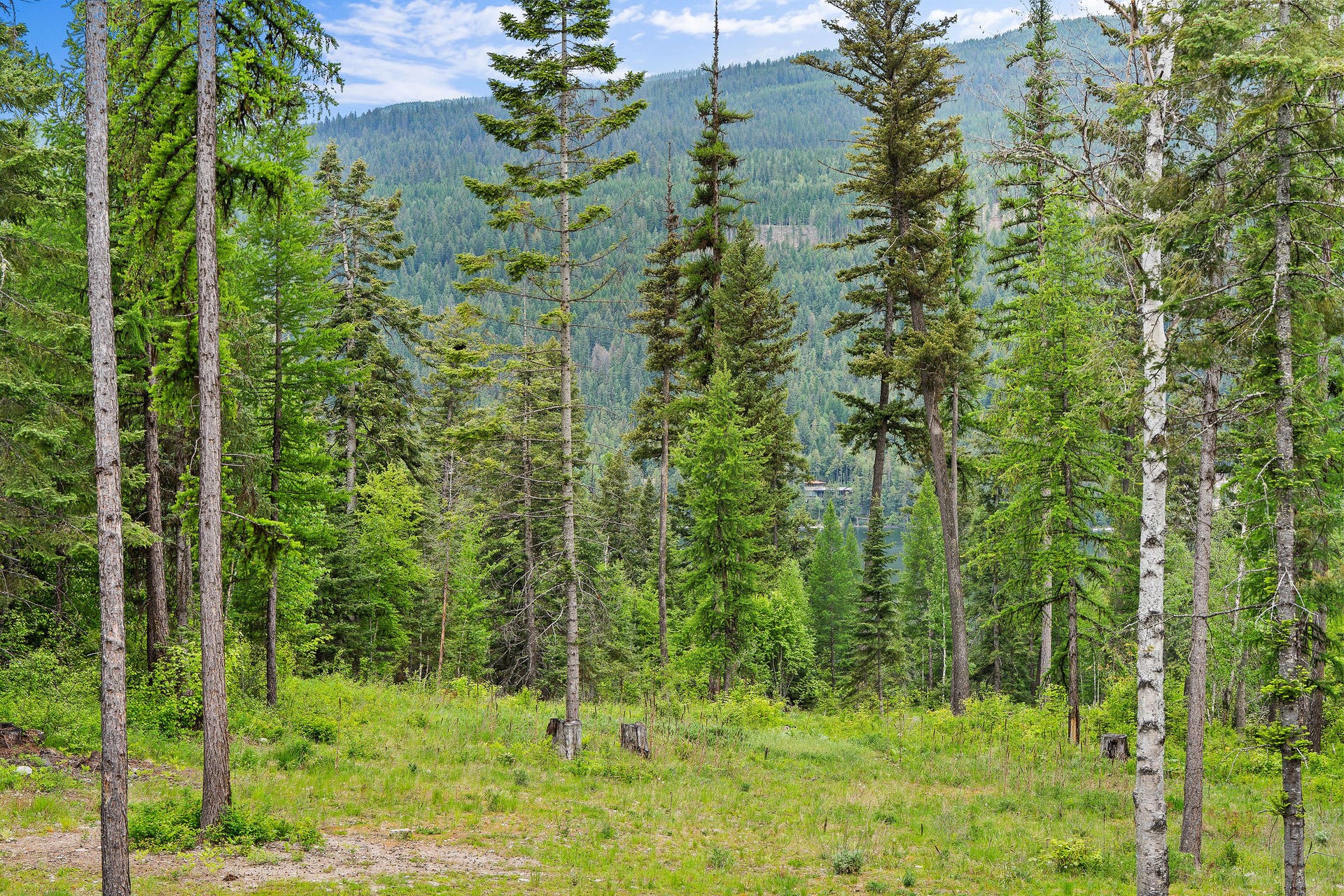 14051 Big Rock Way, Bigfork, MT 59911 View from deck