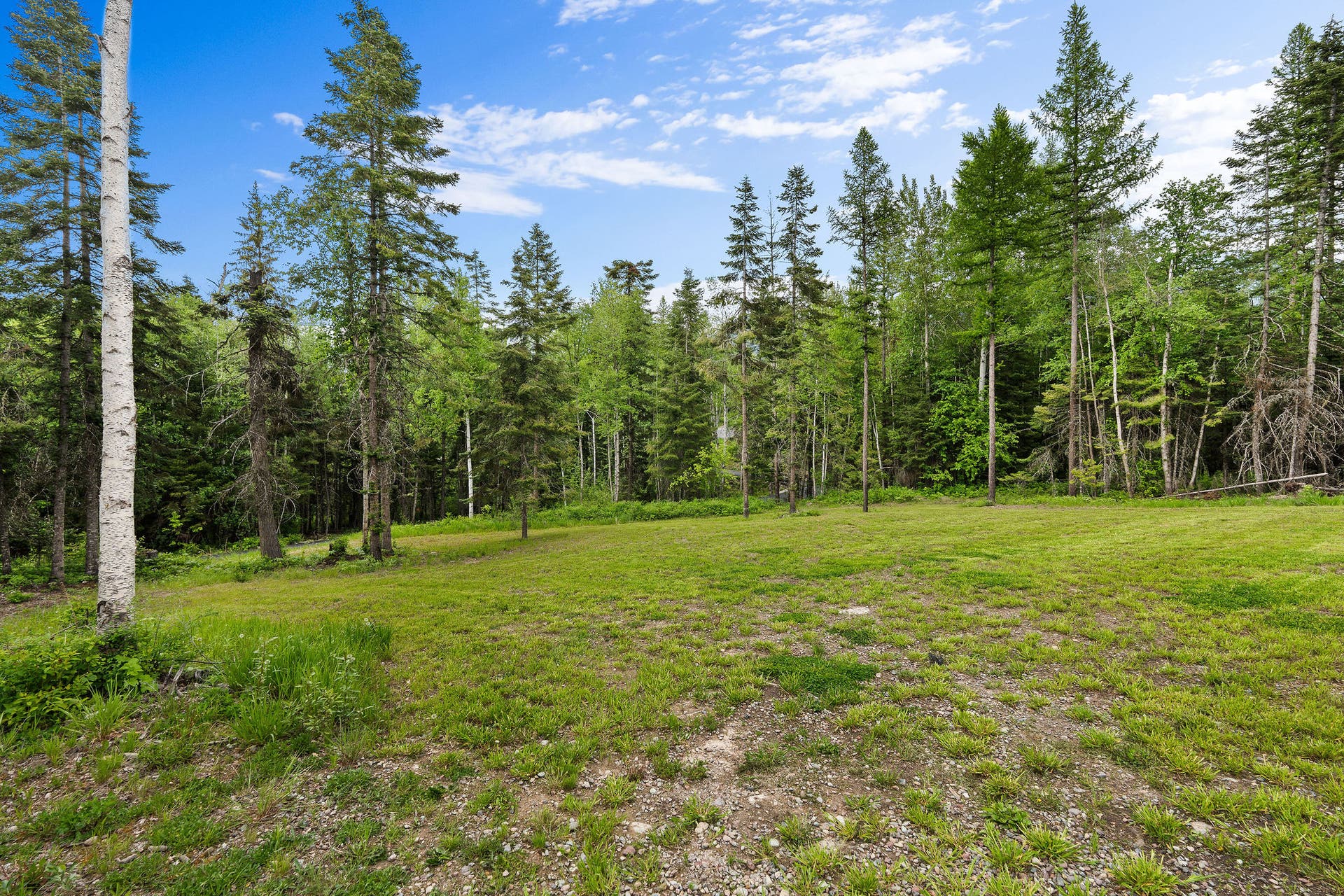 14051 Big Rock Way, Bigfork, MT 59911 Wooded privacy
