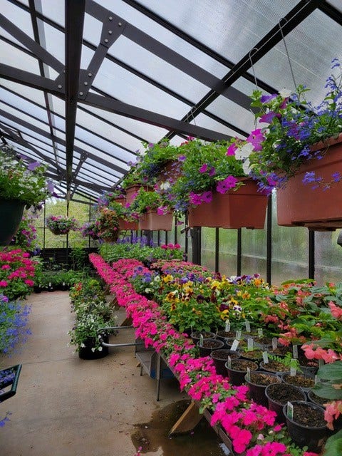 13518 Sylvan Drive, Bigfork, MT 59911 816 sqft Greenhouse heated with natural gas, & complete with 2 water hydrants