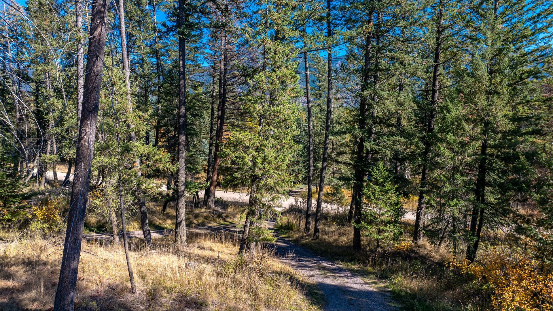 10 Wood Ridge Drive, Columbia Falls, MT 59912