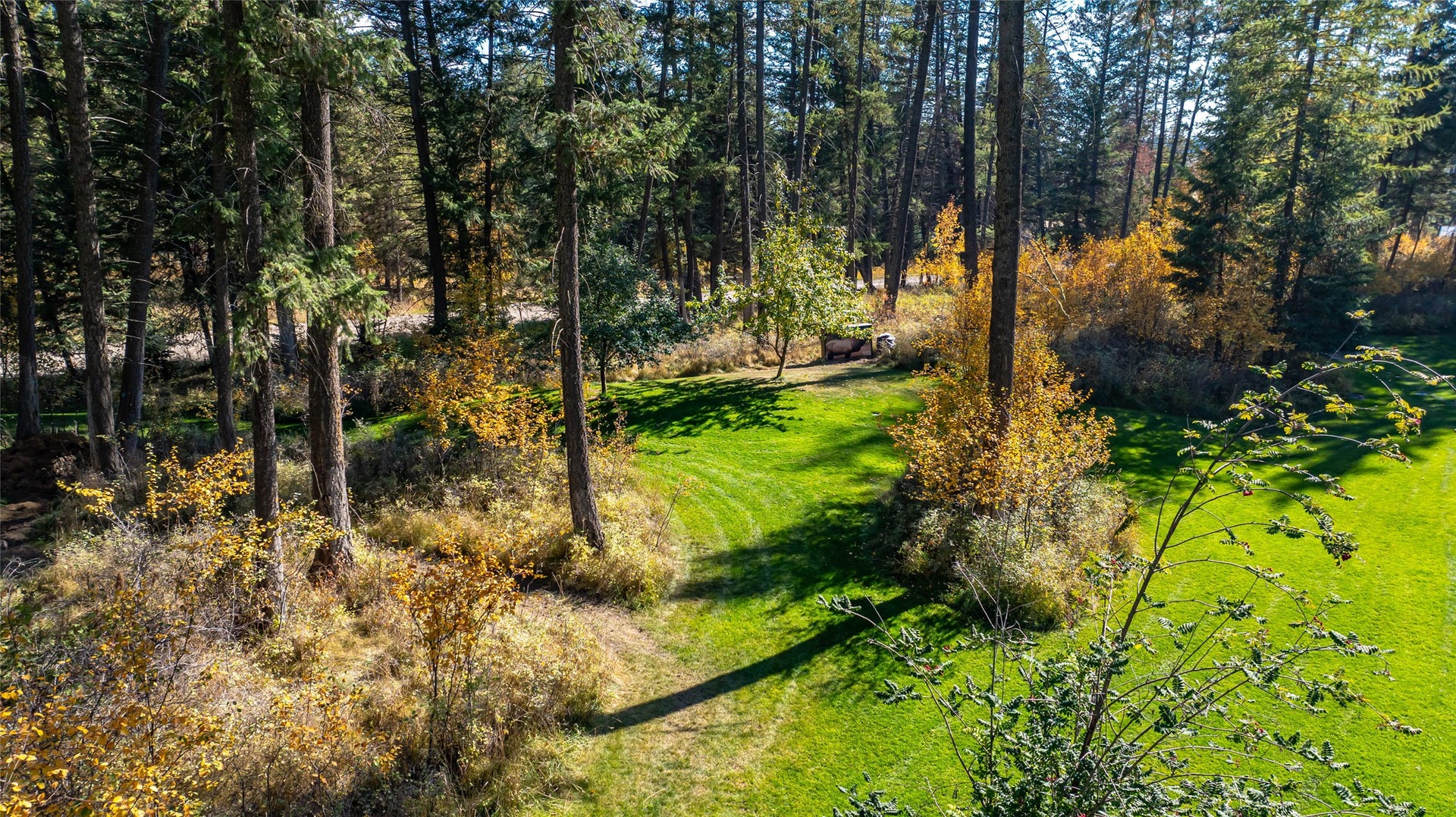 10 Wood Ridge Drive, Columbia Falls, MT 59912