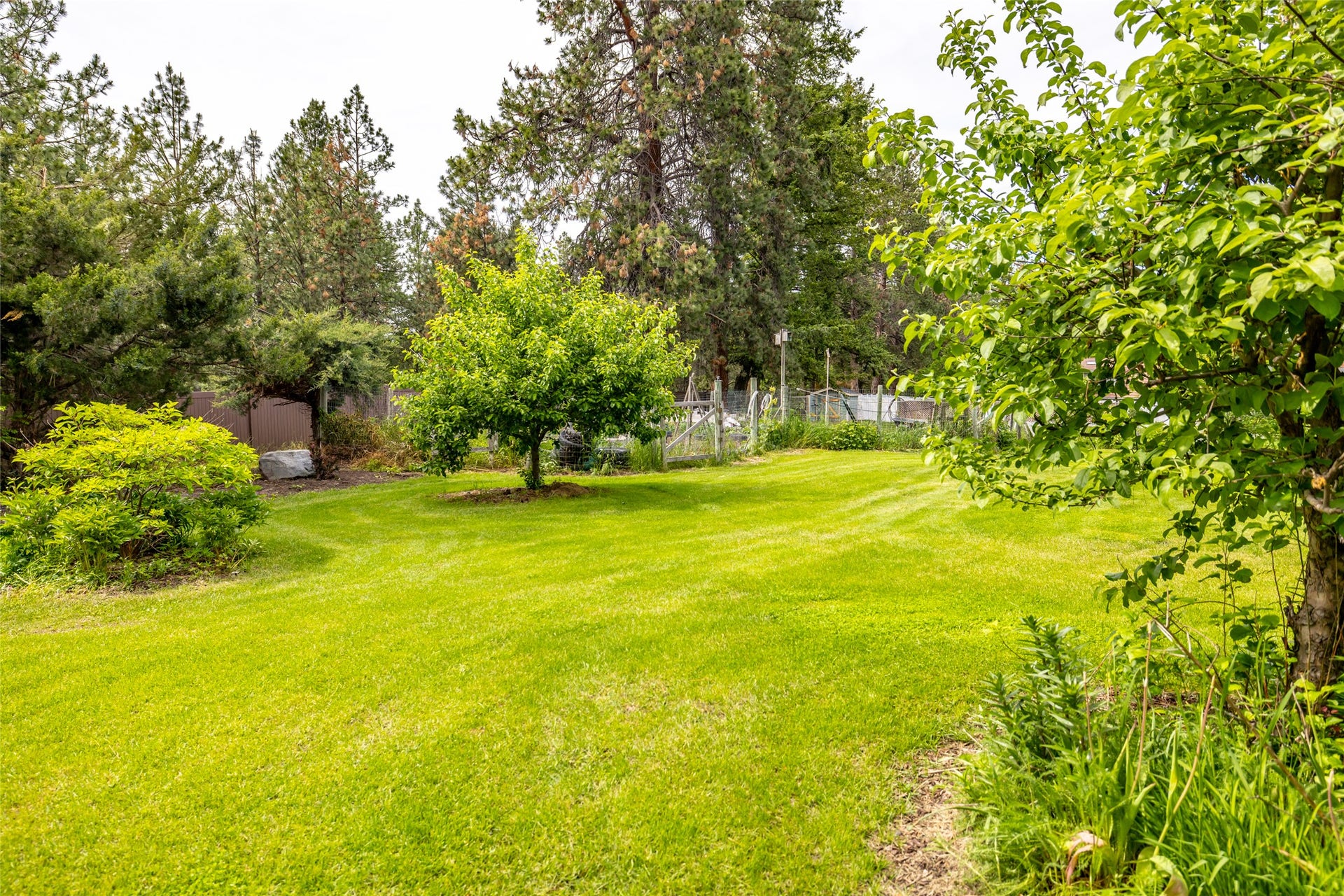 182 Crestview Drive, Bigfork, MT 59911 View from back deck
