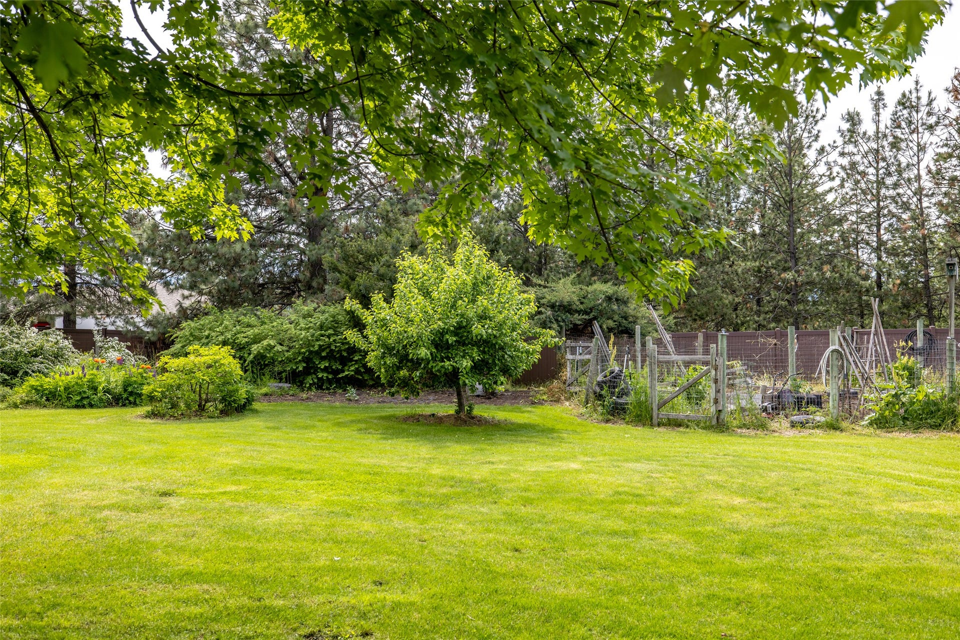182 Crestview Drive, Bigfork, MT 59911 Backyard