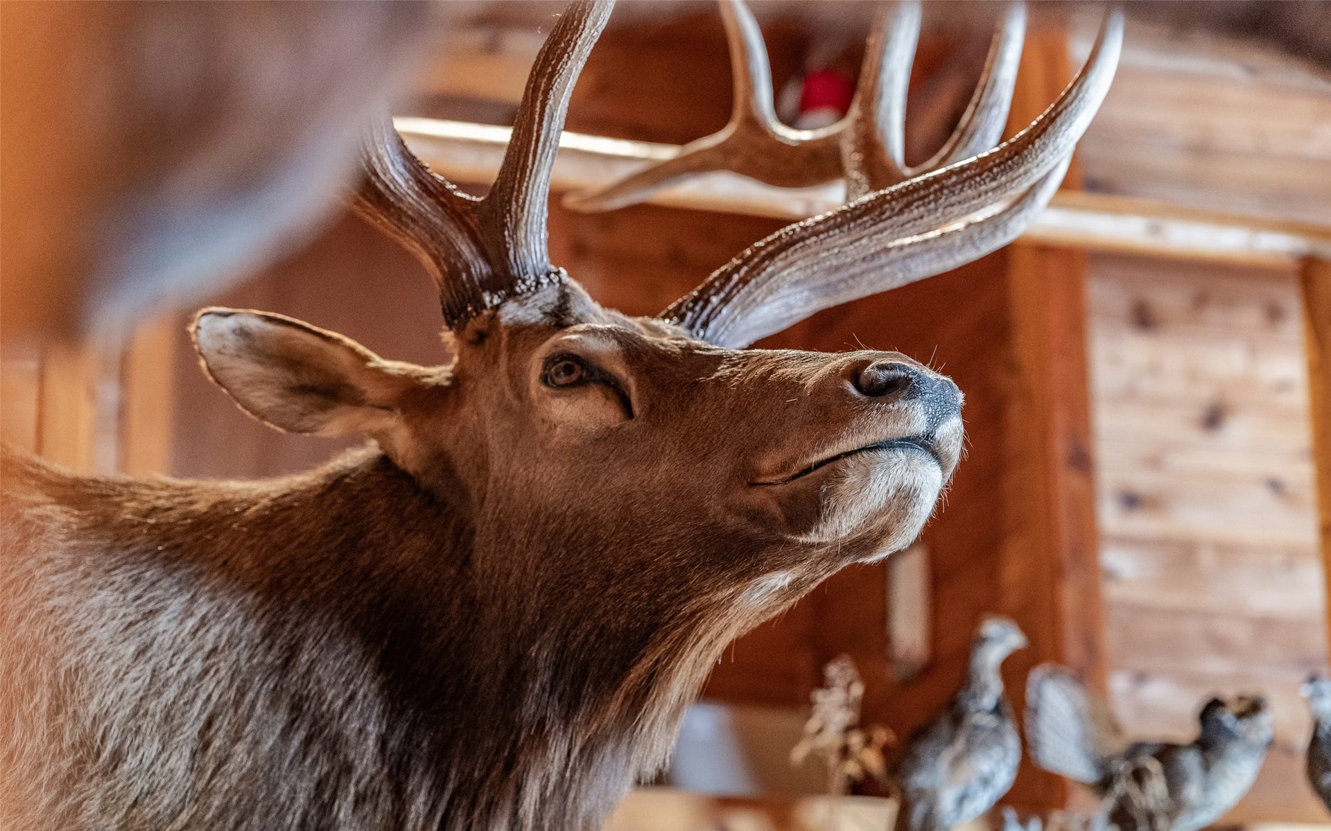 100 Remington Road, Noxon, MT 59853 100 Remington Road, Noxon, MT 59853
