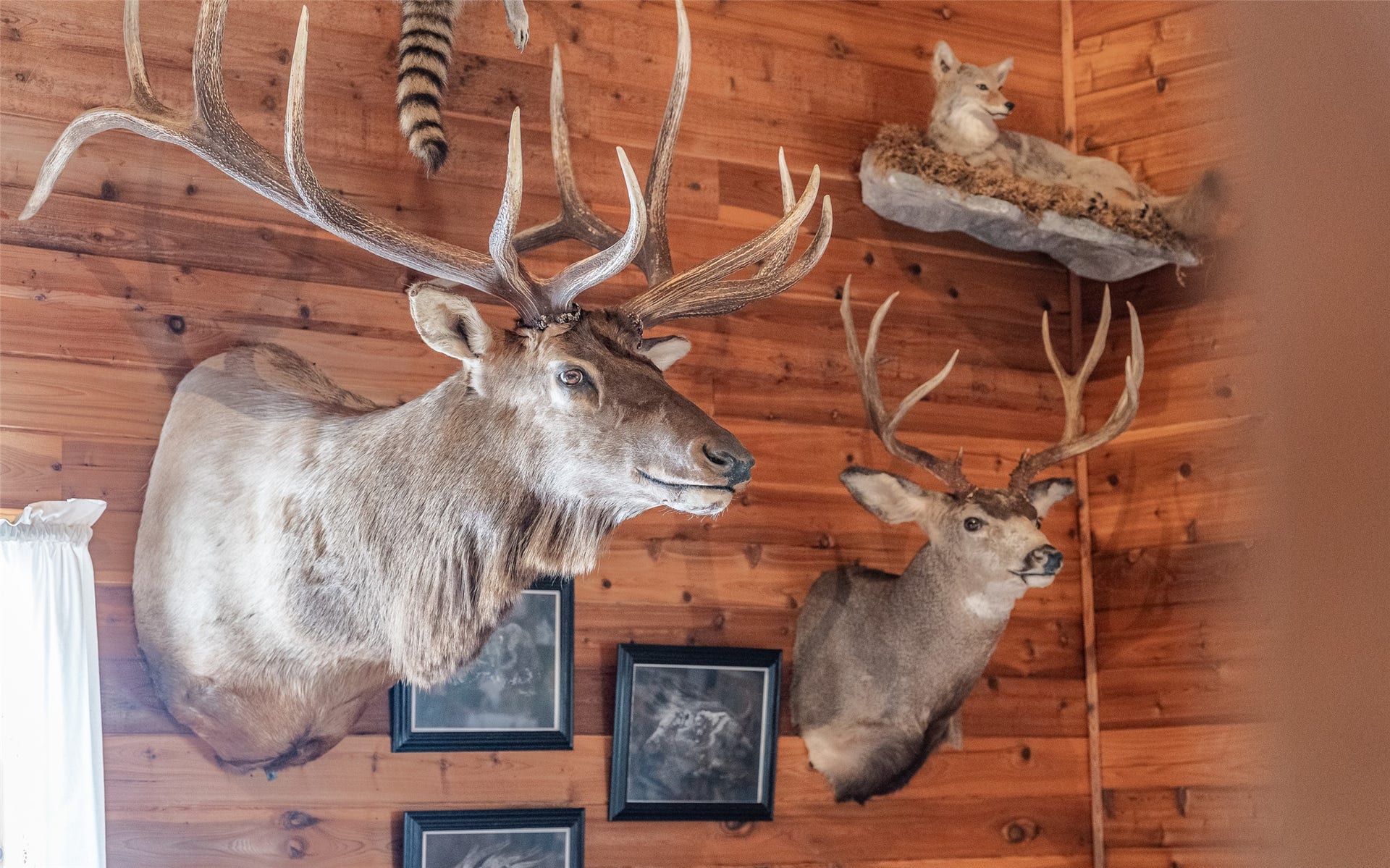 100 Remington Road, Noxon, MT 59853 100 Remington Road, Noxon, MT 59853