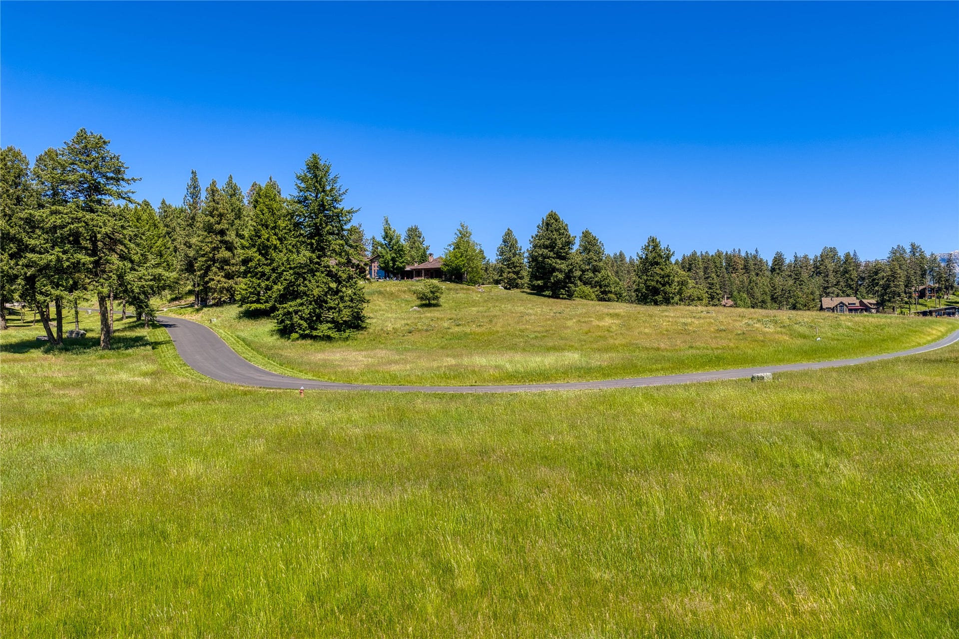 1454 Ponderosa Ridge Drive, Bigfork, MT 59911