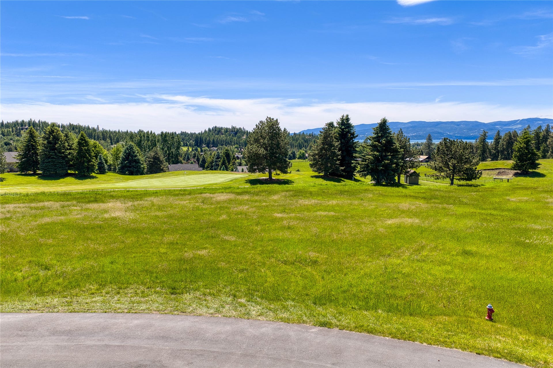1454 Ponderosa Ridge Drive, Bigfork, MT 59911