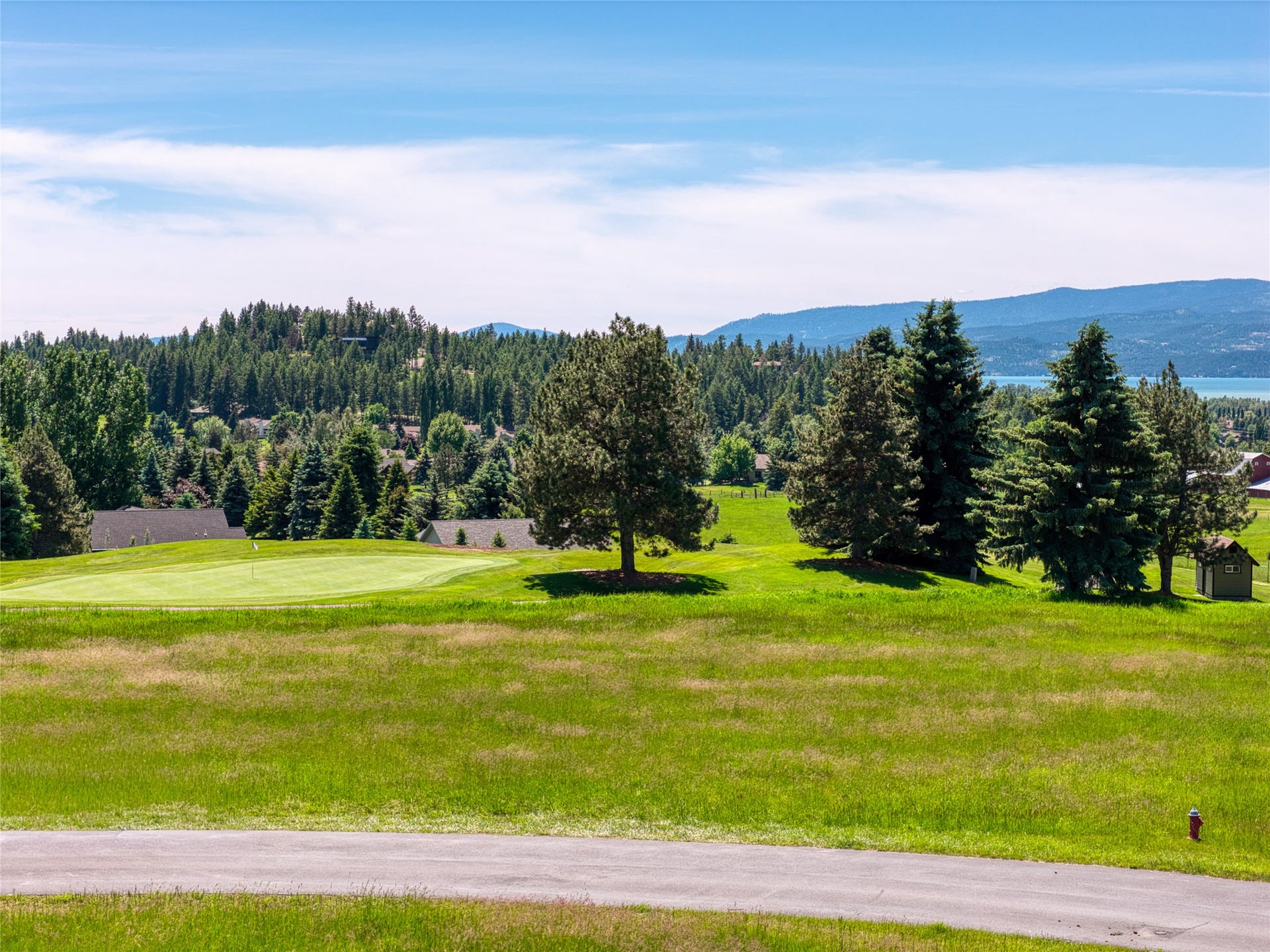 1454 Ponderosa Ridge Drive, Bigfork, MT 59911