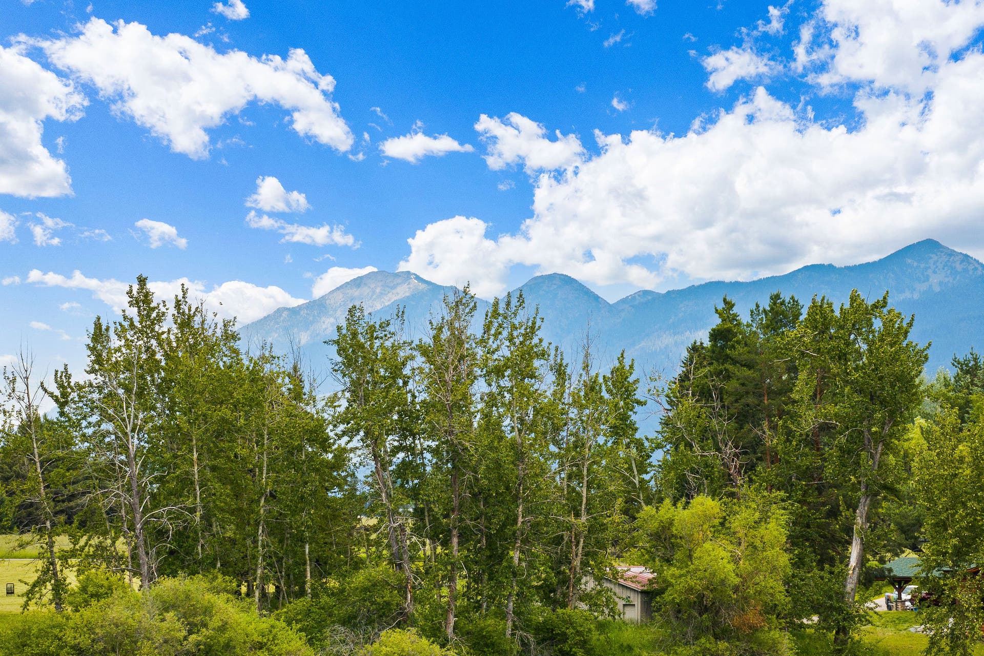 1160 Swan Horseshoe Drive, Bigfork, MT 59911 From the home there are 270 degrees of Swan Mountain views