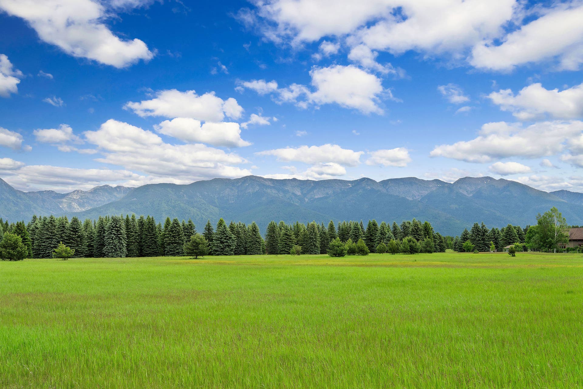 1160 Swan Horseshoe Drive, Bigfork, MT 59911 Swan Mountain Views