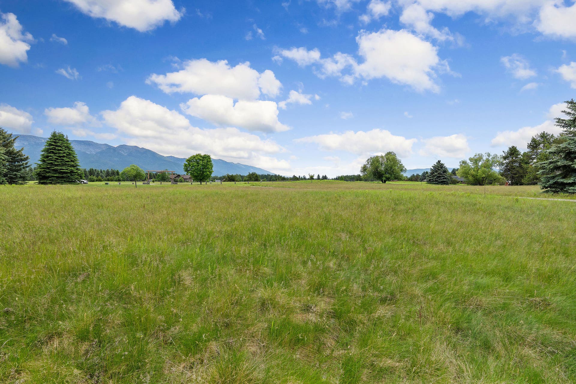 1160 Swan Horseshoe Drive, Bigfork, MT 59911 1160 Swan Horseshoe Drive, Bigfork, MT 59911