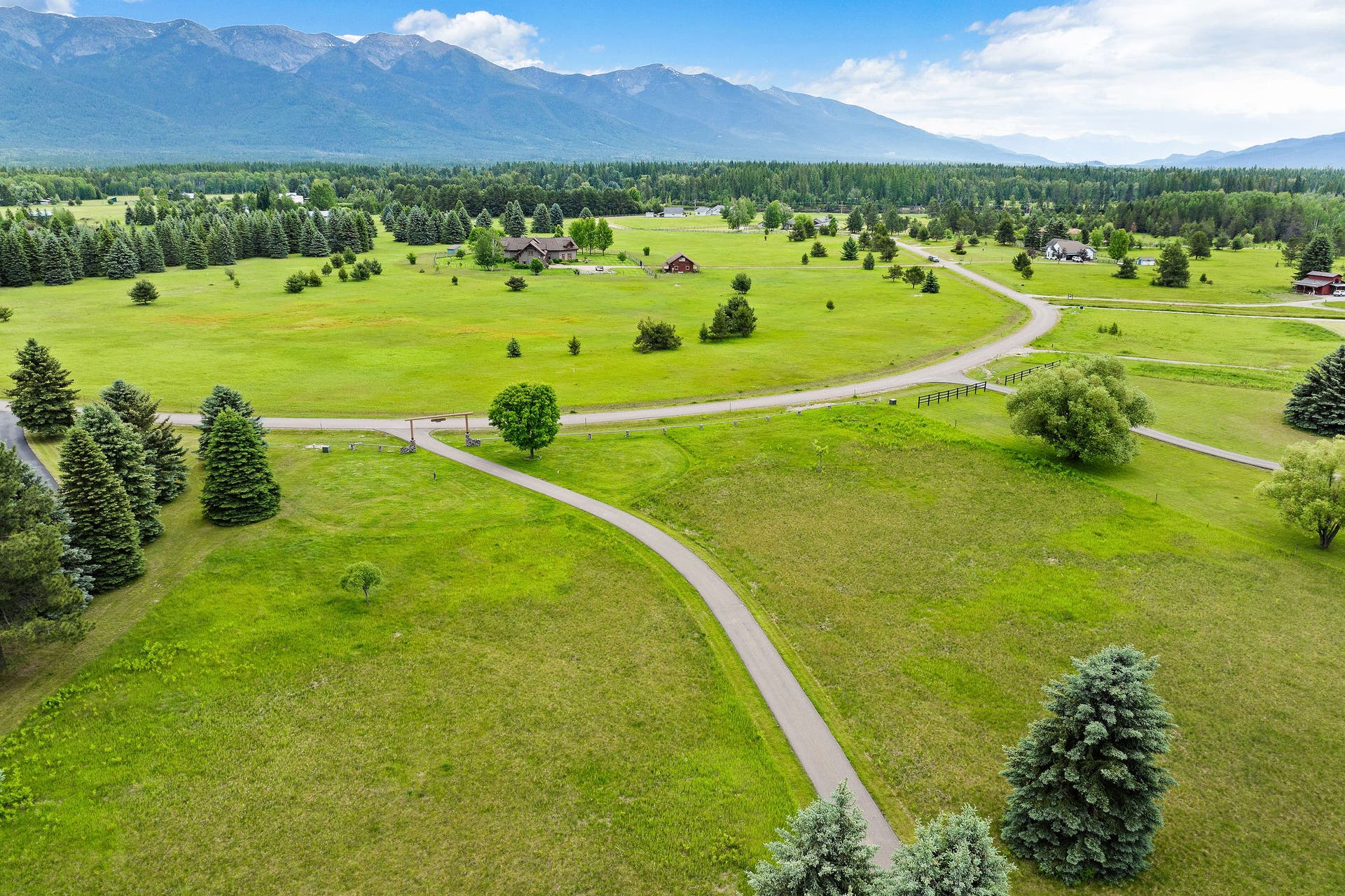 1160 Swan Horseshoe Drive, Bigfork, MT 59911 Driveway