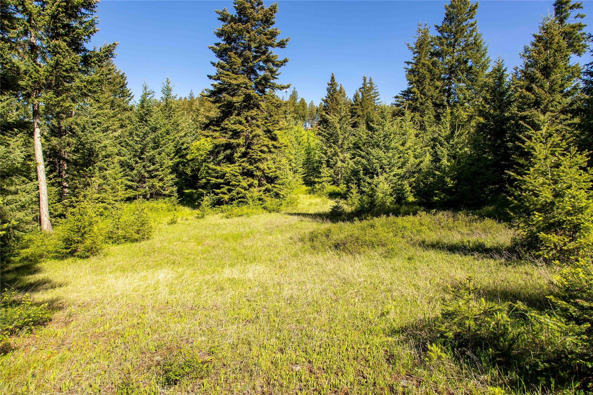 25 Starview Drive, Bigfork, MT 59911 Building site