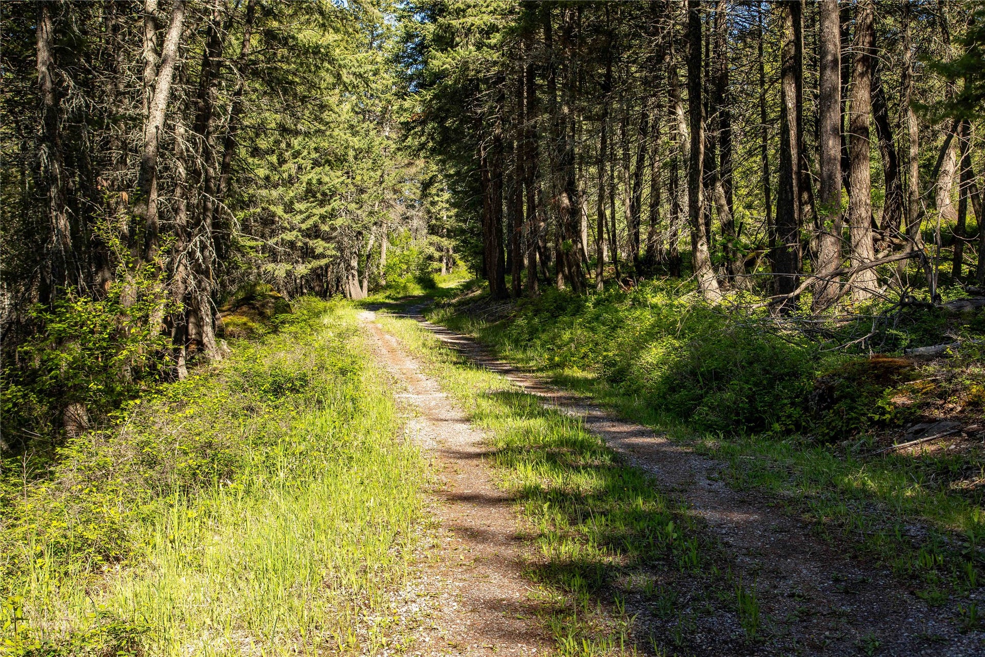 25 Starview Drive, Bigfork, MT 59911 Driveway access