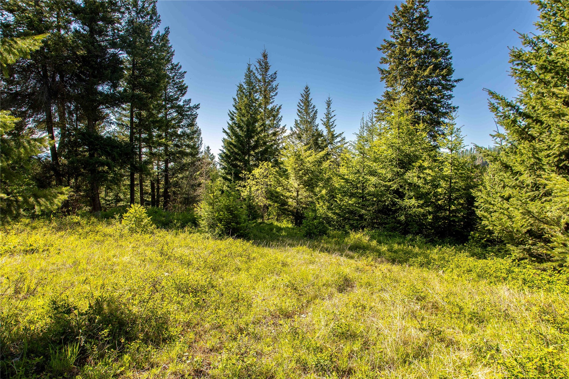 25 Starview Drive, Bigfork, MT 59911 More building site