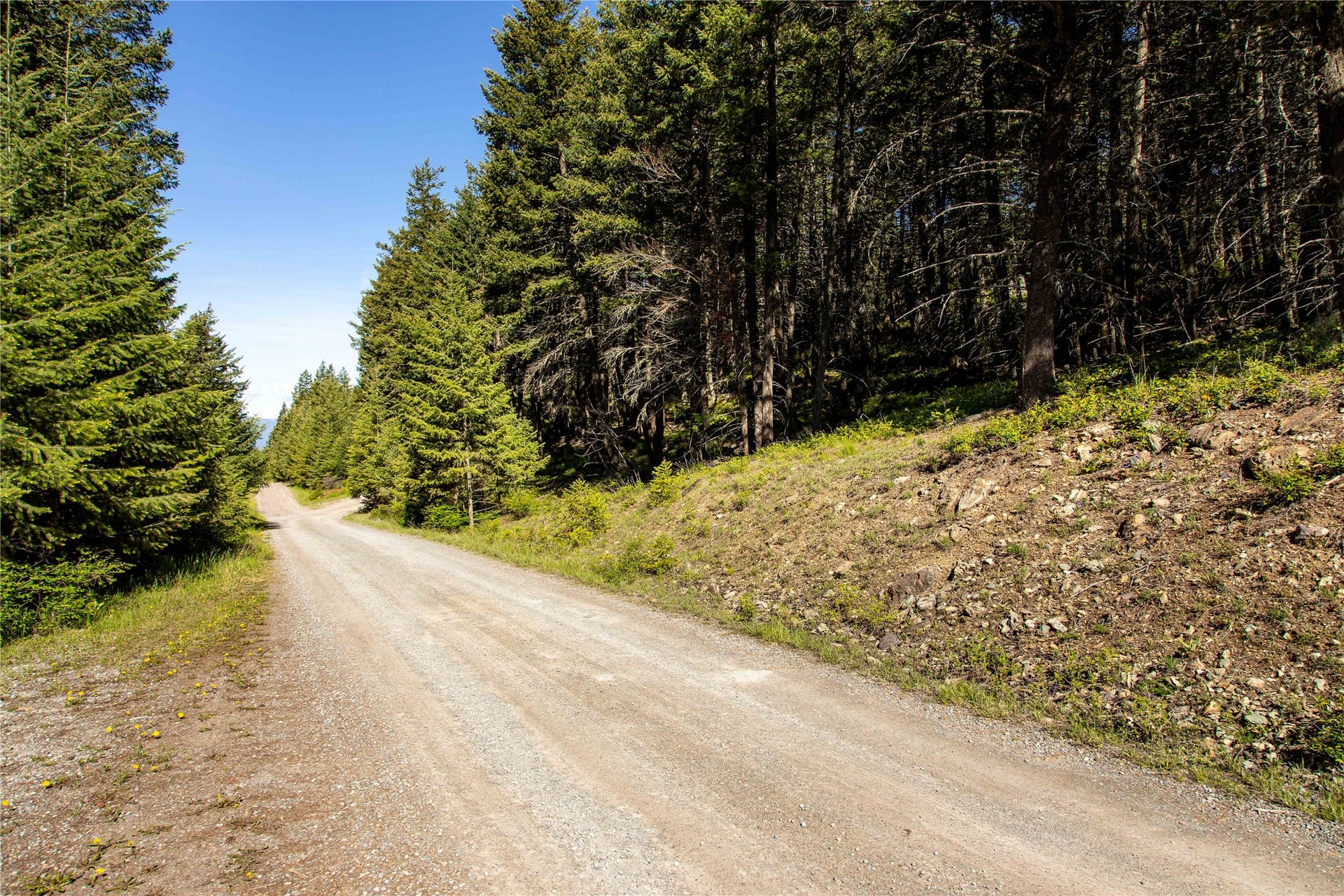 25 Starview Drive, Bigfork, MT 59911 Starview Drive