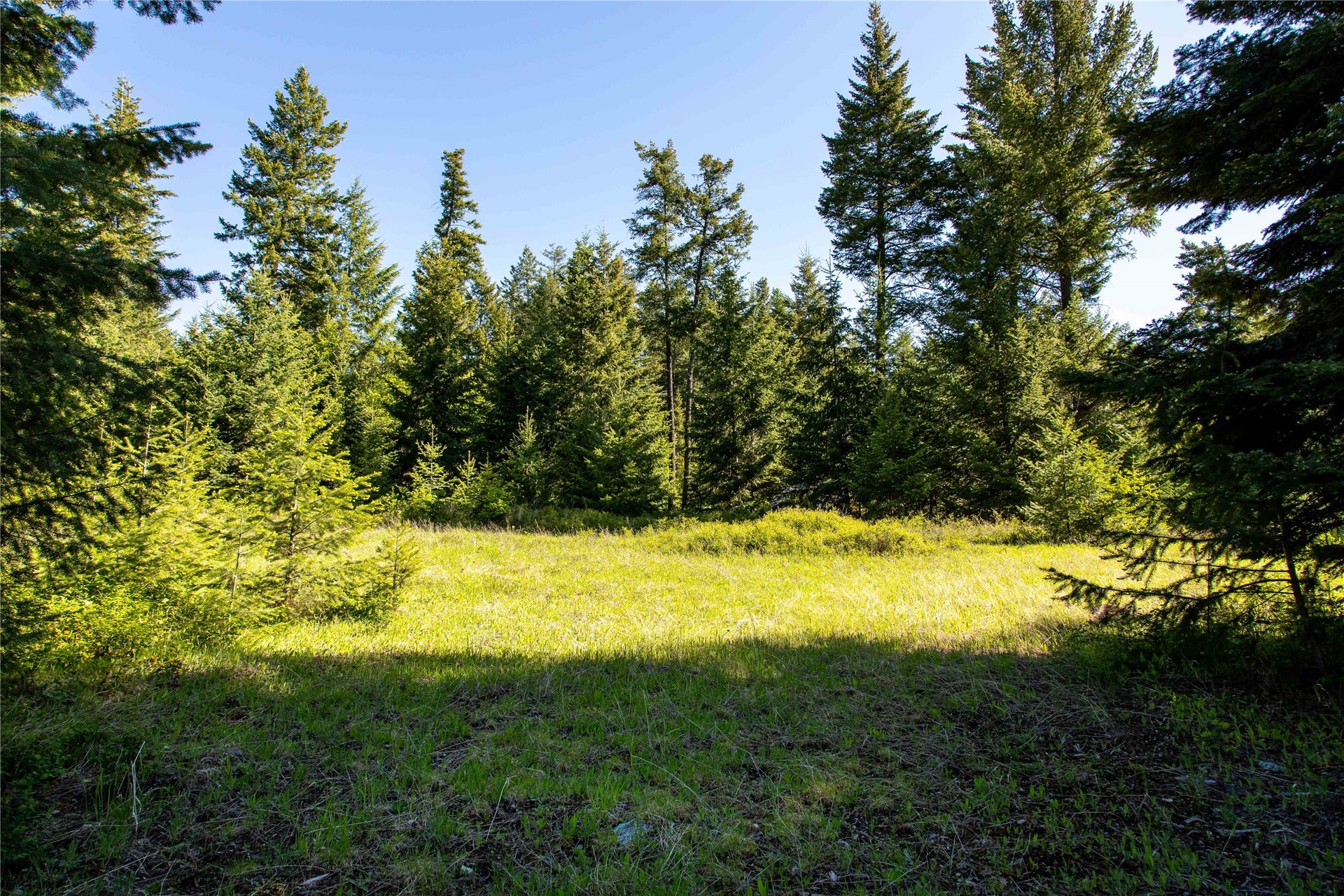 25 Starview Drive, Bigfork, MT 59911 Level building site