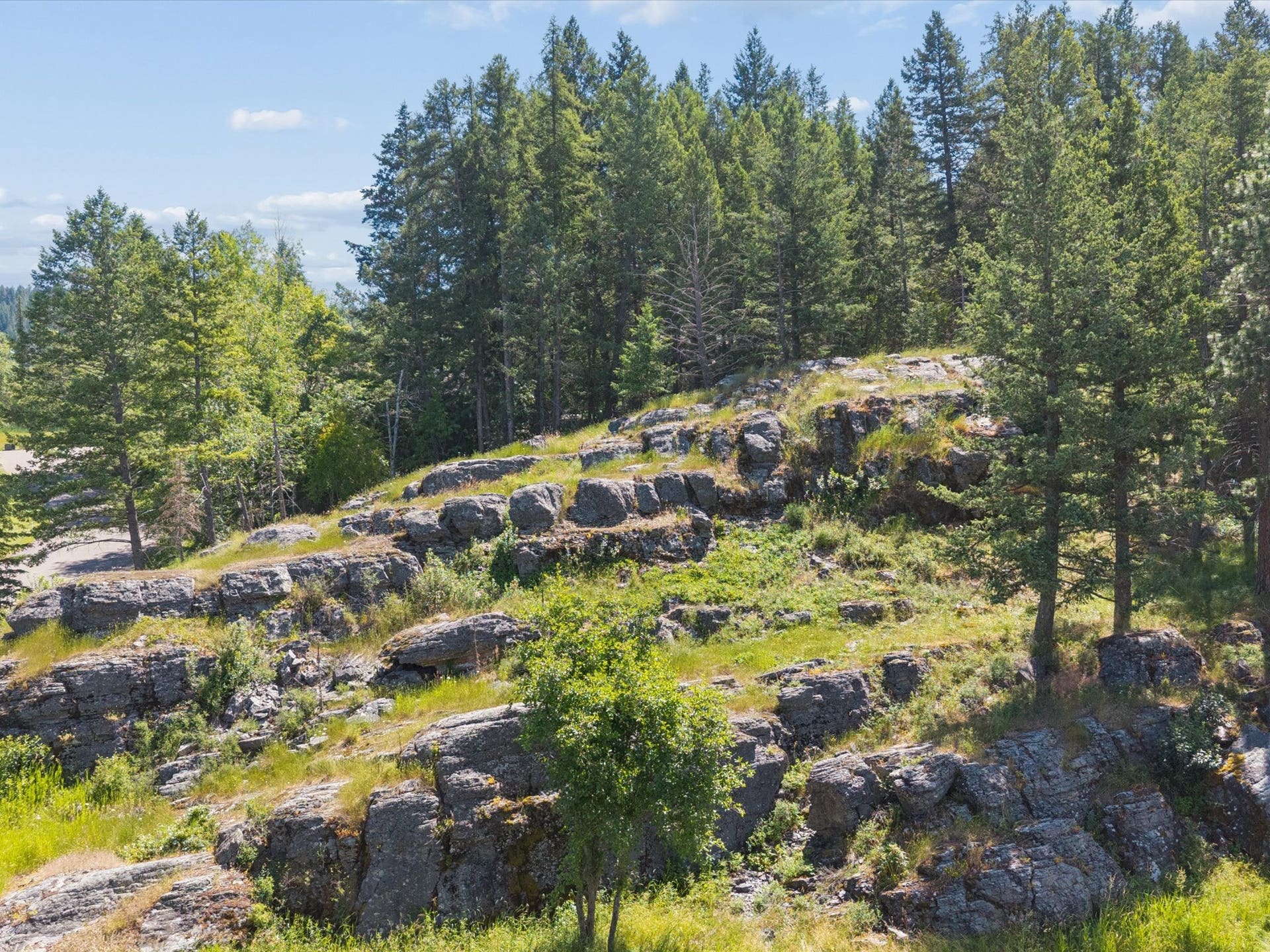 230 Eagle Bend Drive, Bigfork, MT 59911 230 Eagle Bend Drive, Bigfork, MT 59911