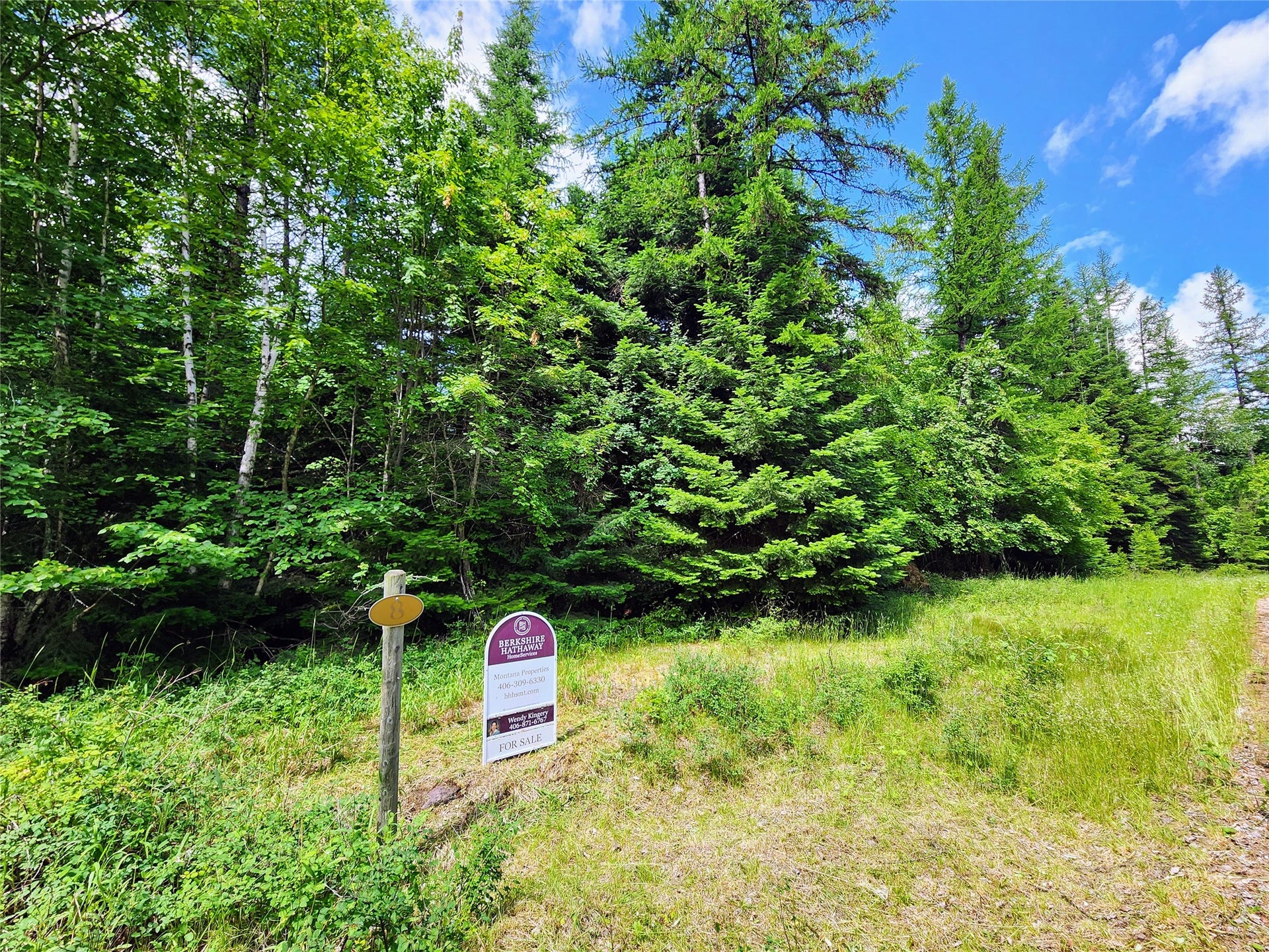 13727 Big Hawk Drive, Bigfork, MT 59911 Lot 8 Marker looking E/NE along Big Hawk Drive