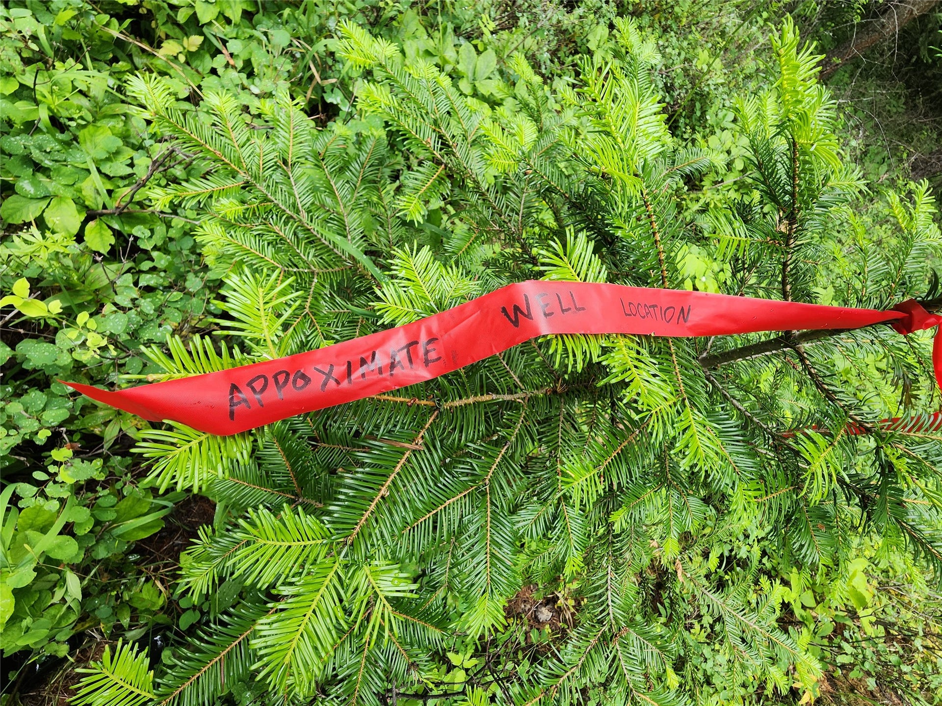 13727 Big Hawk Drive, Bigfork, MT 59911 Flag on tree in approximate location of pre-approved well site