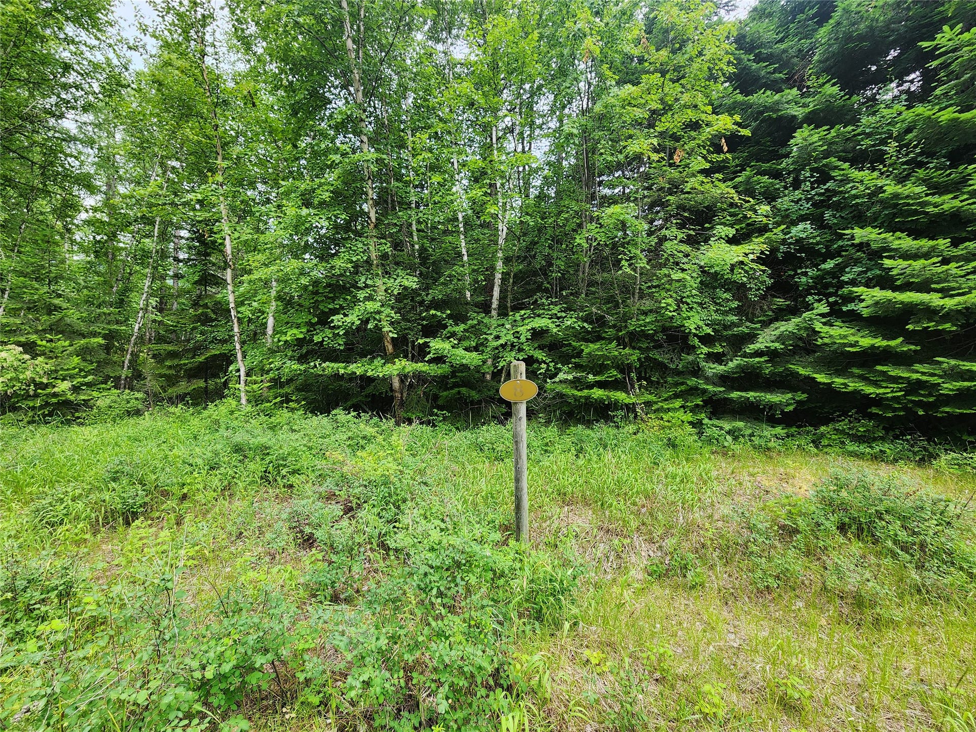13727 Big Hawk Drive, Bigfork, MT 59911 Lot 8 original plat marker. Possible driveway access to left of this marker approximately 15-20 feet