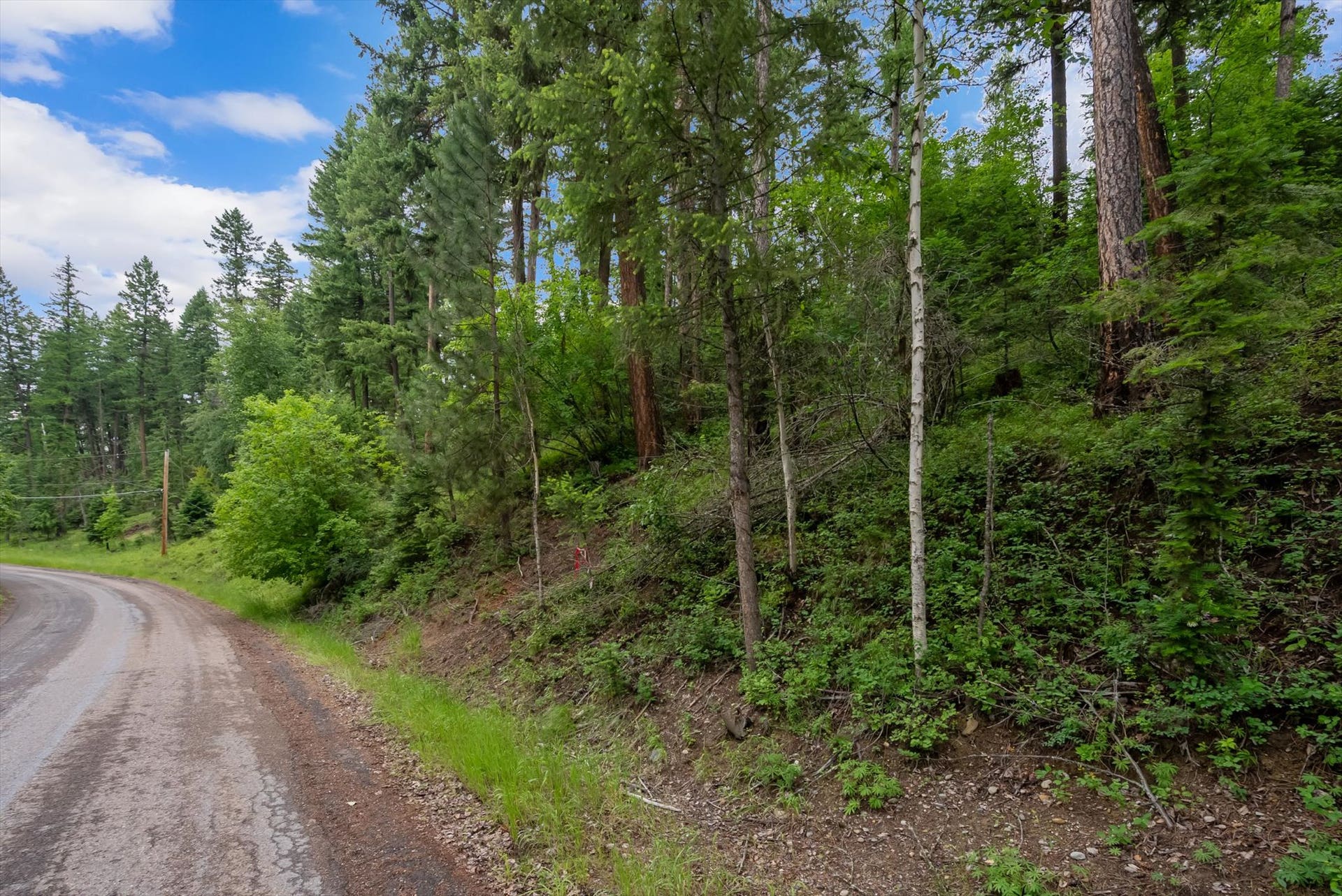 13727 Big Hawk Drive, Bigfork, MT 59911 13727 Big Hawk Drive, Bigfork, MT 59911