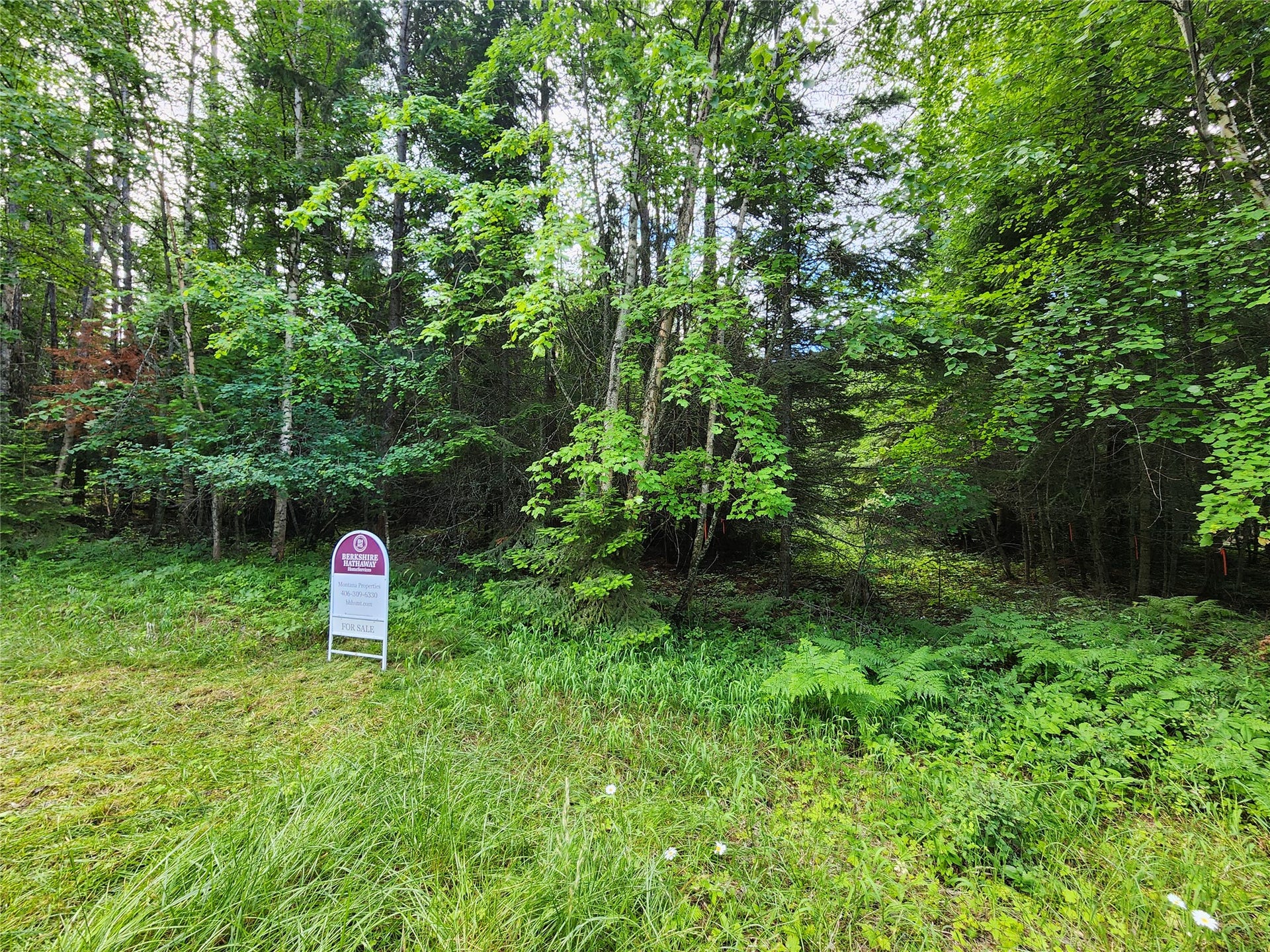 13727 Big Hawk Drive, Bigfork, MT 59911 NE access clearing leading to pre-approved septic/drainfield area and possible build site