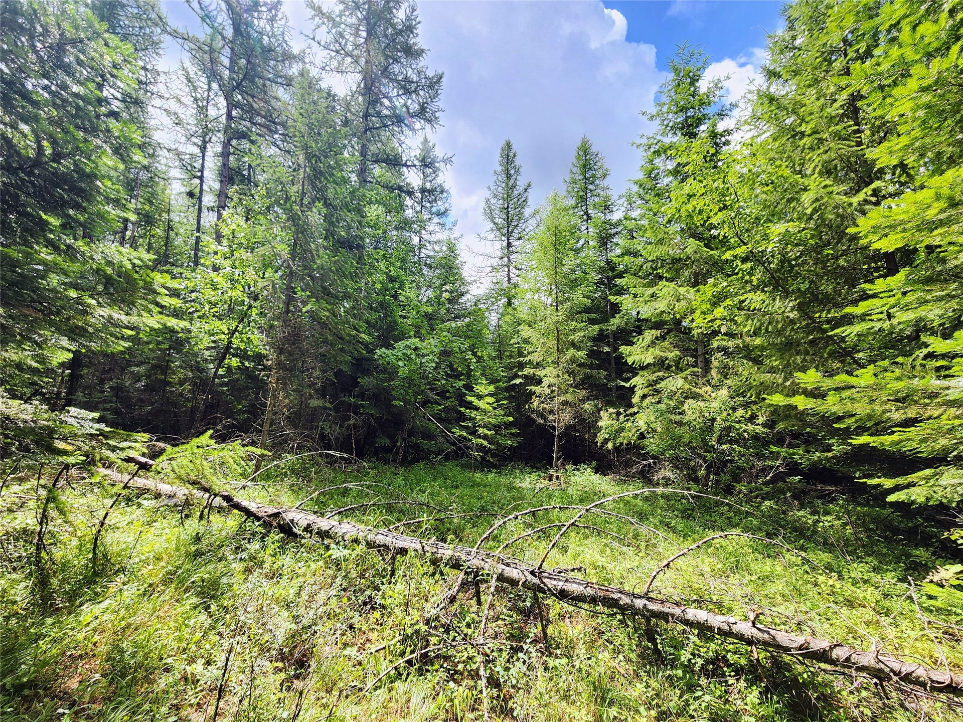 13727 Big Hawk Drive, Bigfork, MT 59911 Portion of clearing just above the ridgeline bench for build site