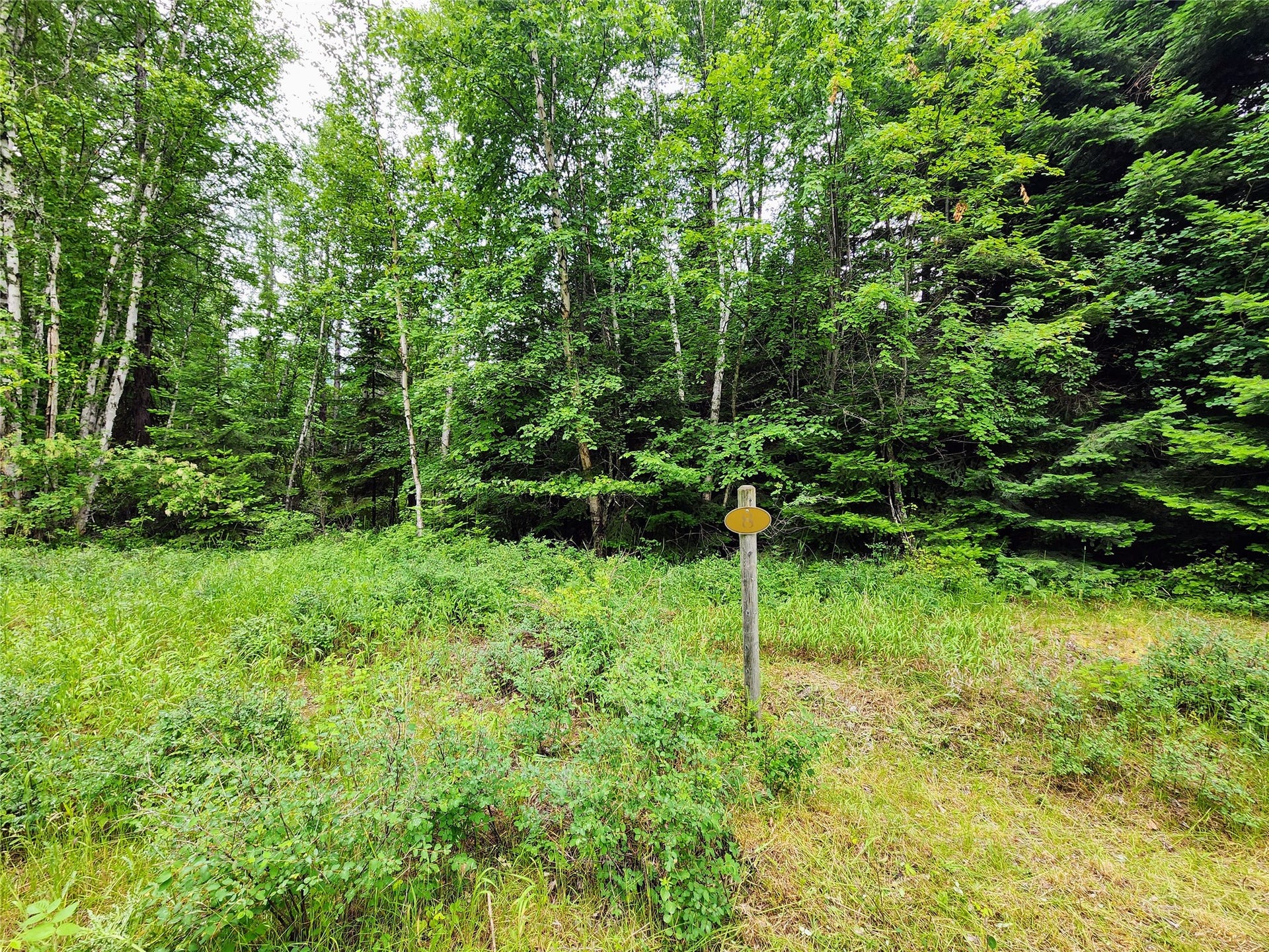 13727 Big Hawk Drive, Bigfork, MT 59911 Lot 8 marker with possible access point