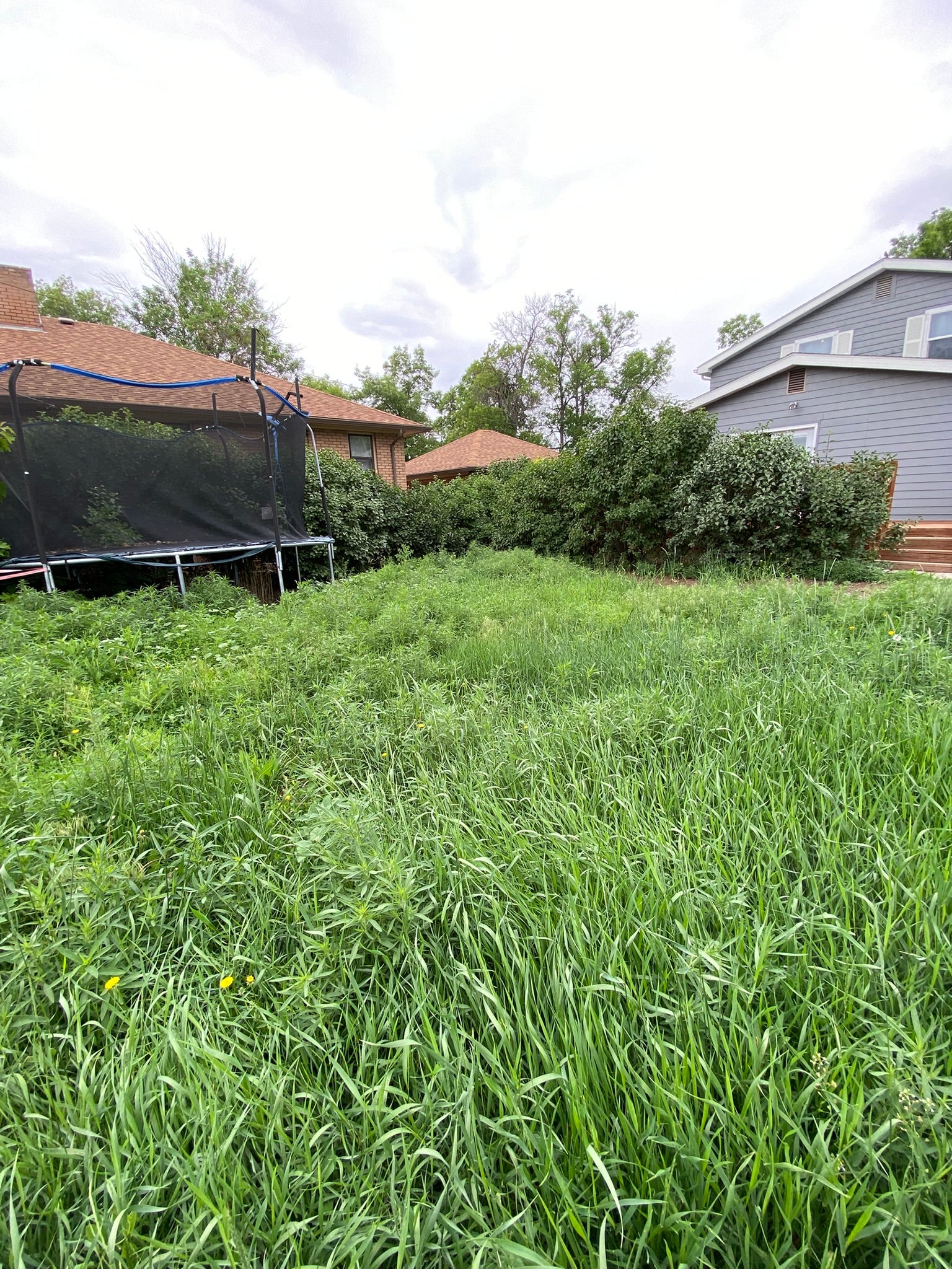 2904 2nd Avenue N, Great Falls, MT 59401 2904 2nd Avenue N, Great Falls, MT 59401