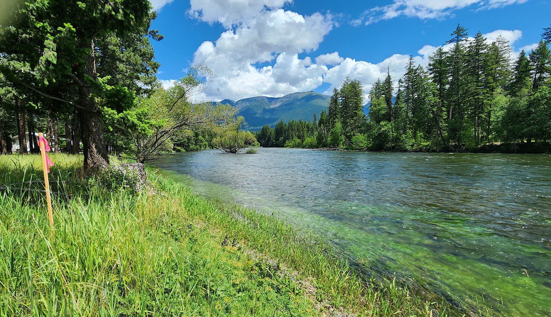 12430 Rippling Waters Road, Bigfork, MT 59911 12430 Rippling Waters Road, Bigfork, MT 59911