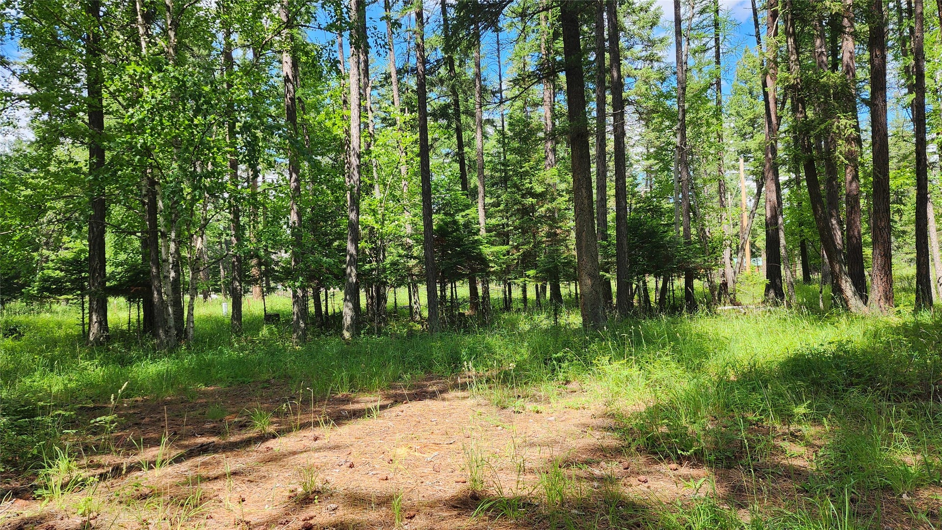 12430 Rippling Waters Road, Bigfork, MT 59911 12430 Rippling Waters Road, Bigfork, MT 59911