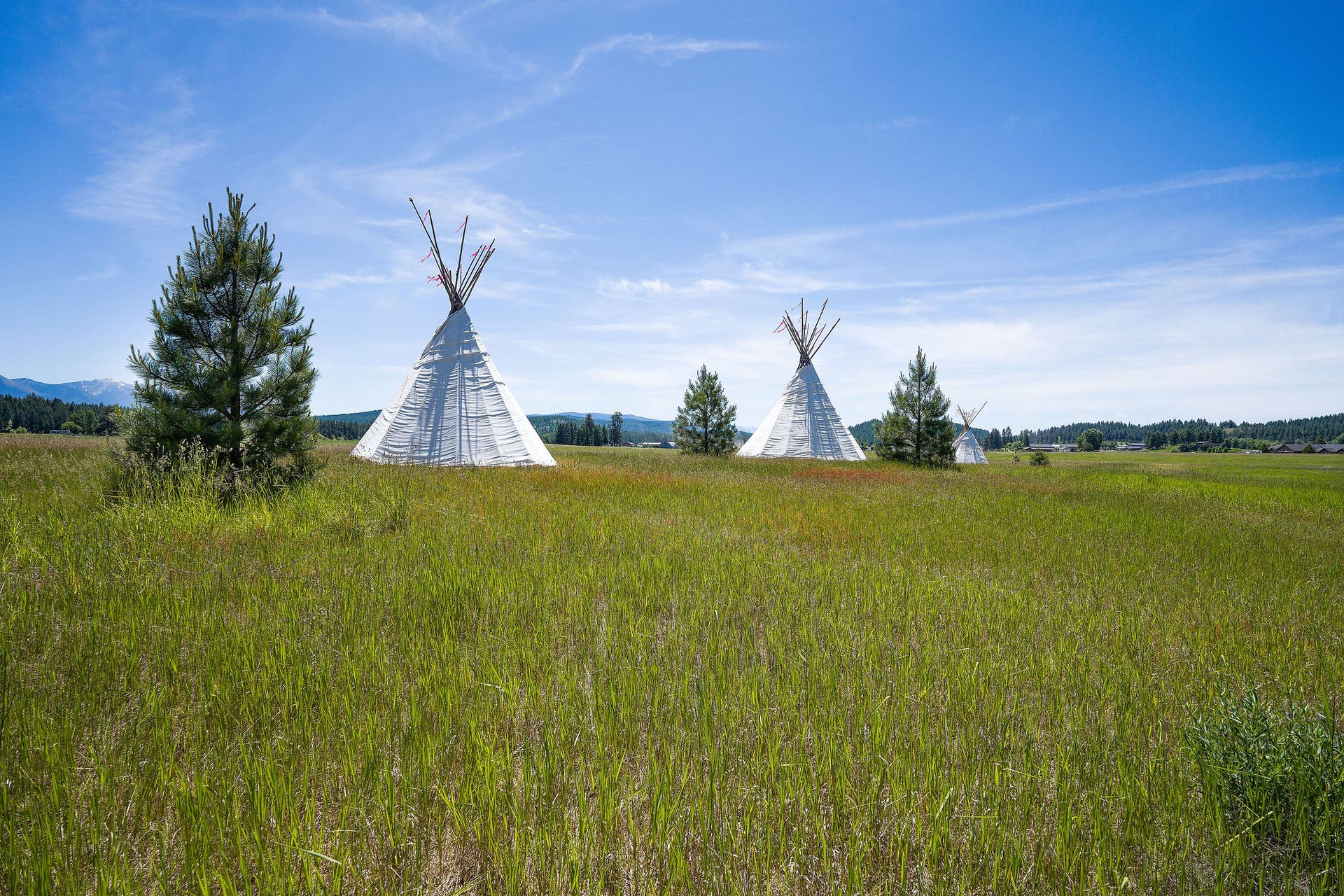 233 Coverdell Road, Bigfork, MT 59911 233 Coverdell Road, Bigfork, MT 59911