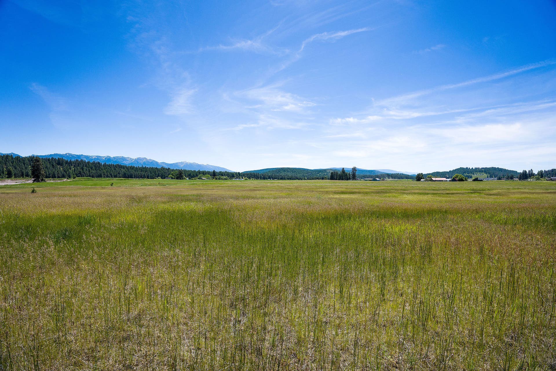 233 Coverdell Road, Bigfork, MT 59911 233 Coverdell Road, Bigfork, MT 59911