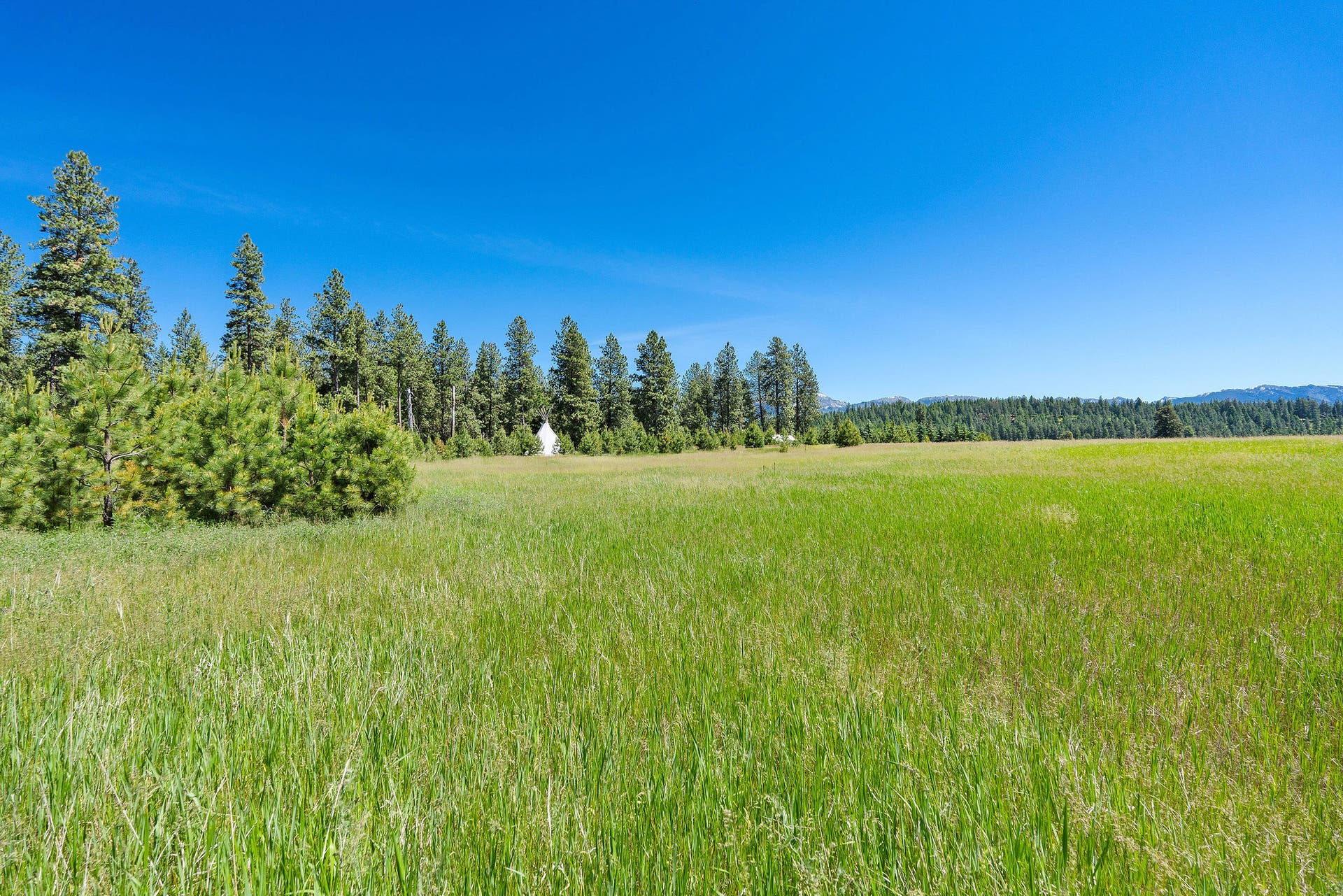 233 Coverdell Road, Bigfork, MT 59911 233 Coverdell Road, Bigfork, MT 59911