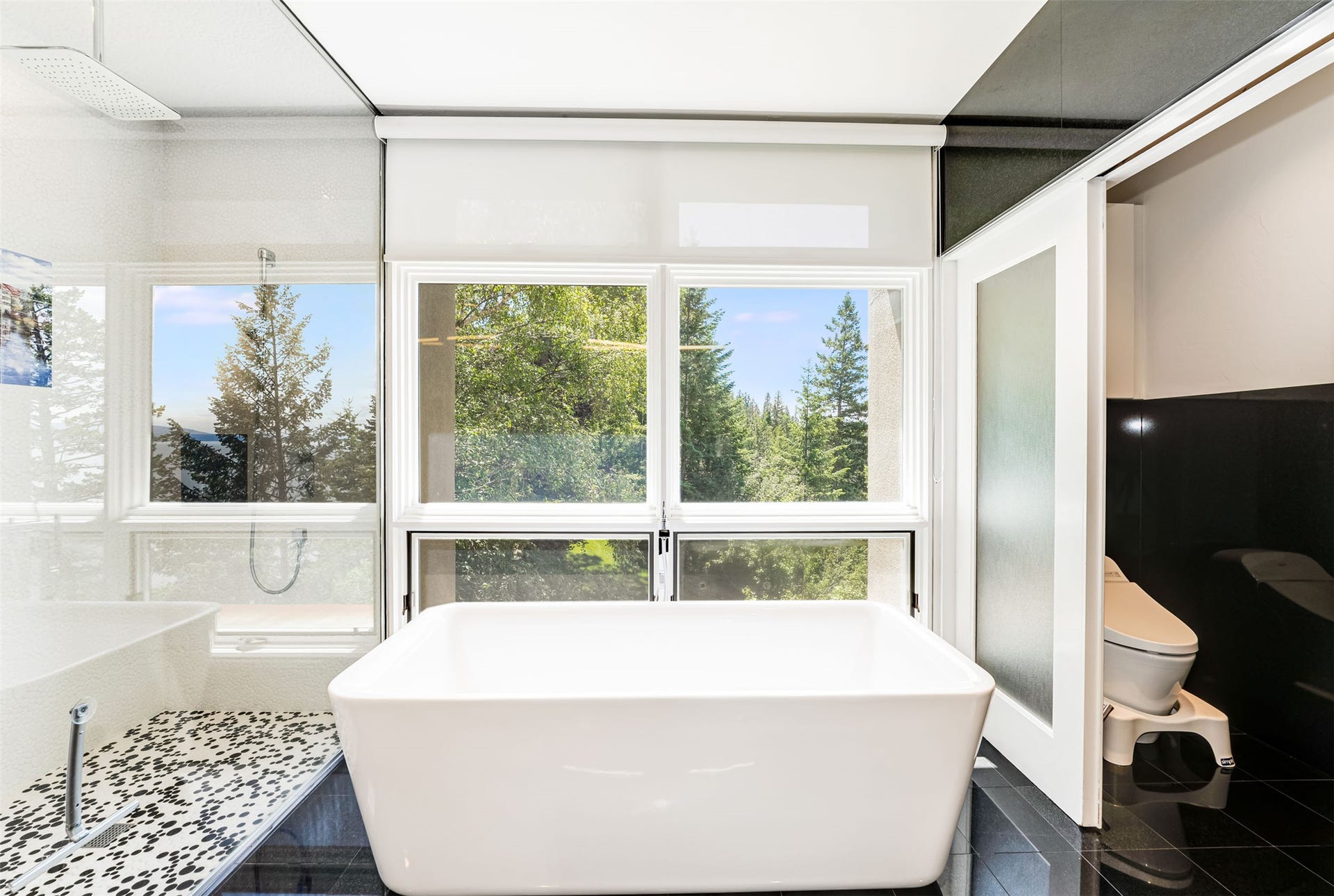 Freestanding soaking tub with expansive windows, a walk-in shower featuring pebble-style flooring, a rain shower head, and a sliding privacy door to the water closet