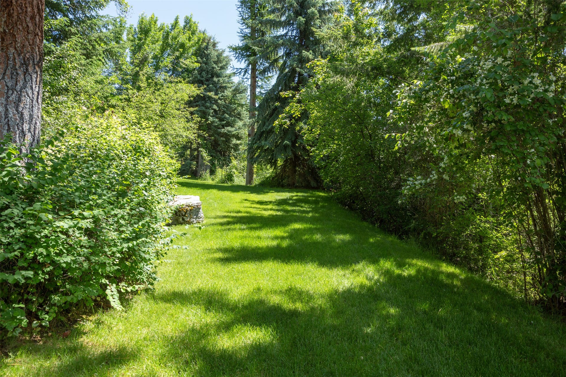 Expansive green lawn surrounded by mature trees and varied foliage