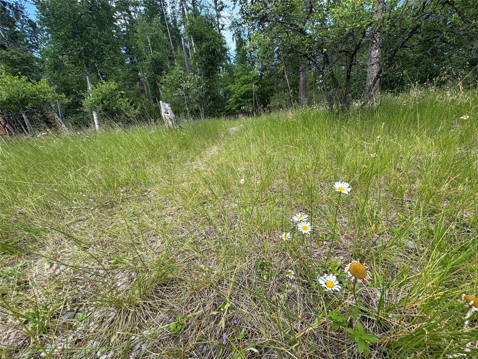 13643 Sundance Trail, Bigfork, MT 59911 HOA Green Space Walking Paths