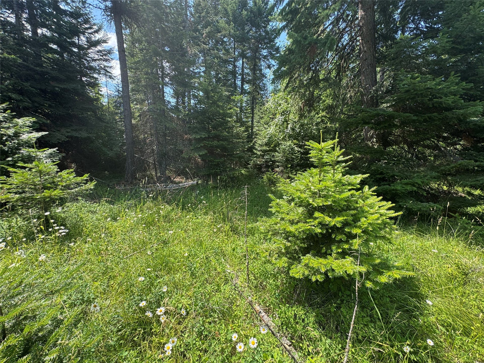 13643 Sundance Trail, Bigfork, MT 59911 13643 Sundance Trail, Bigfork, MT 59911