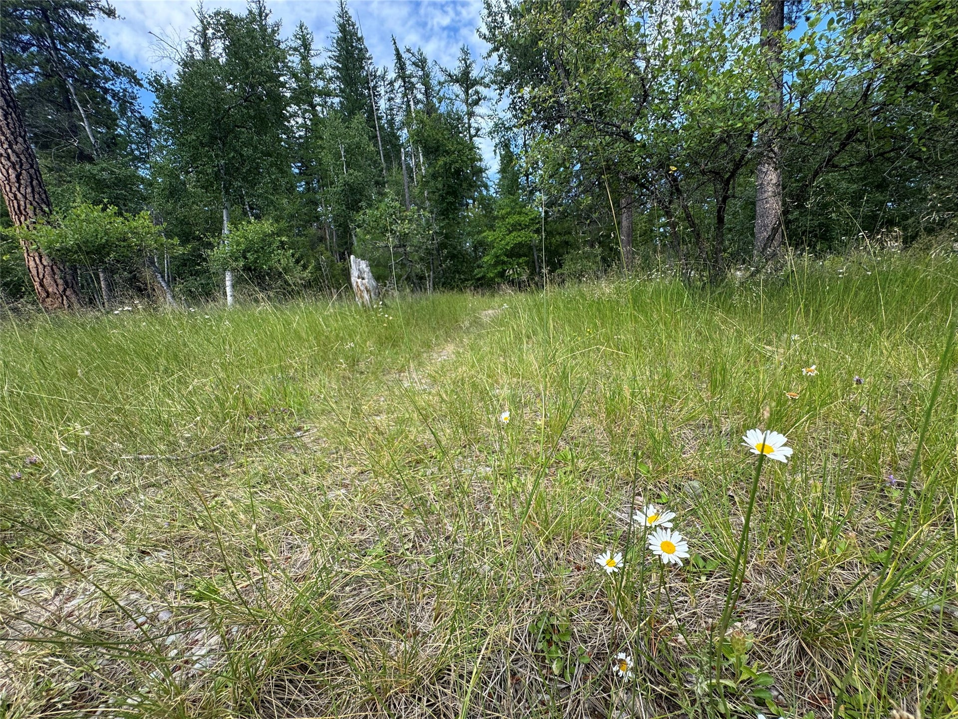 13643 Sundance Trail, Bigfork, MT 59911 HOA Green Space Walking Paths