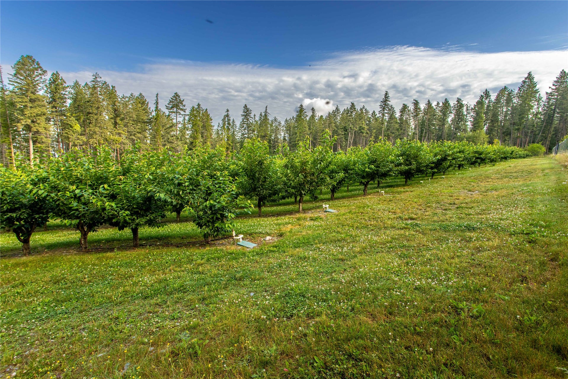338 Flathead Lodge Road, Bigfork, MT 59911 1025 Cherry Trees