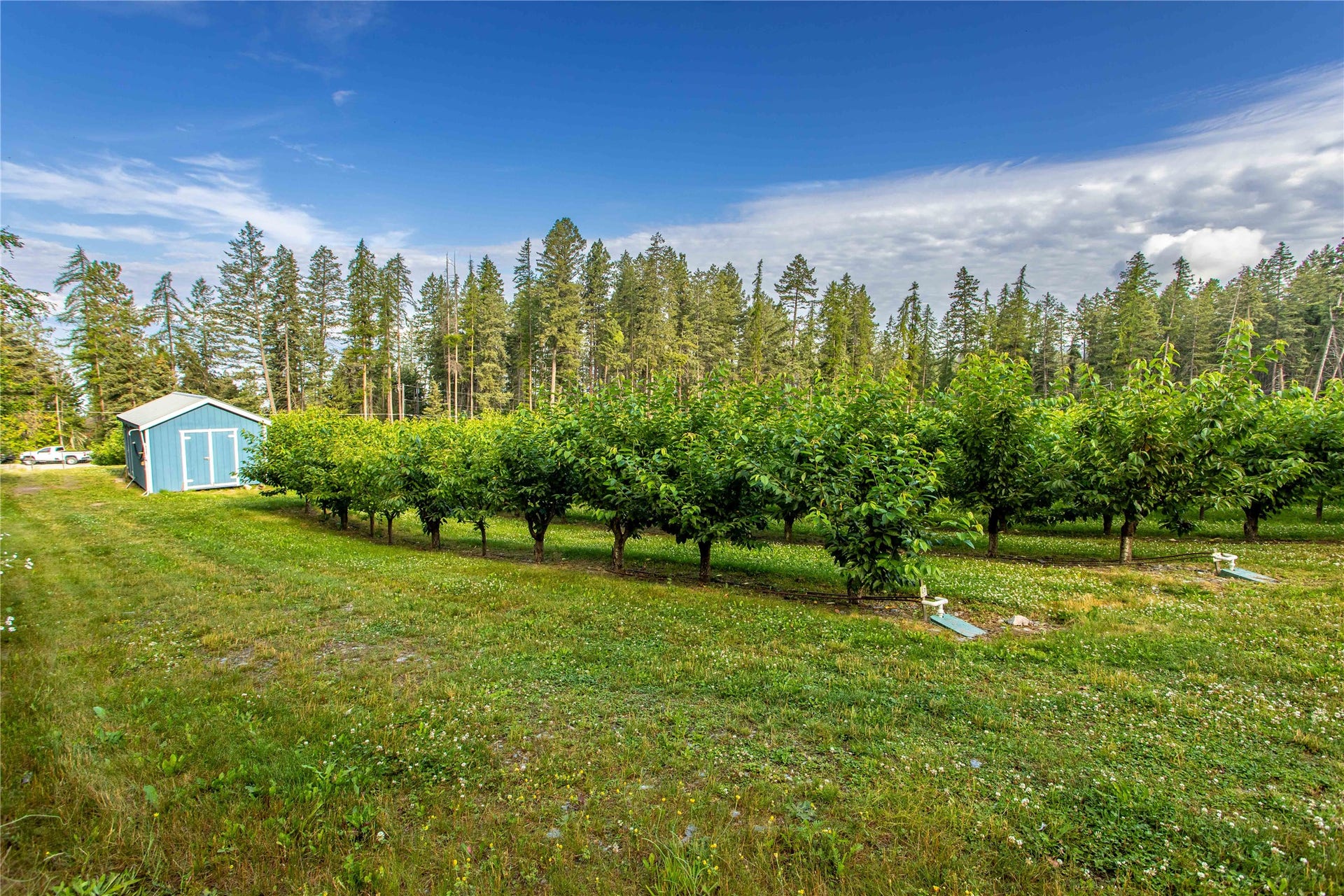 338 Flathead Lodge Road, Bigfork, MT 59911 338 Flathead Lodge Road, Bigfork, MT 59911