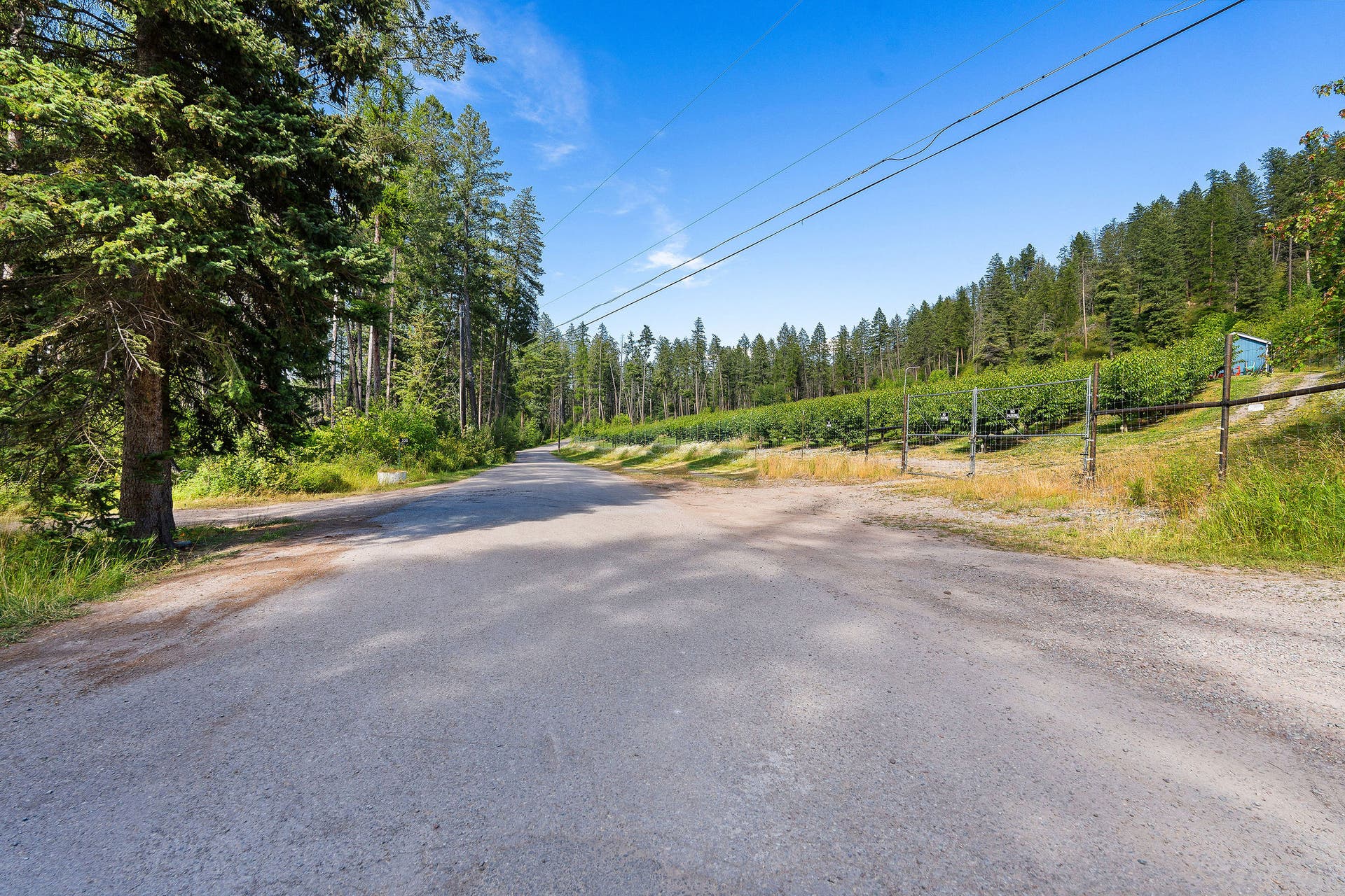338 Flathead Lodge Road, Bigfork, MT 59911 Private road between orchard and lake.